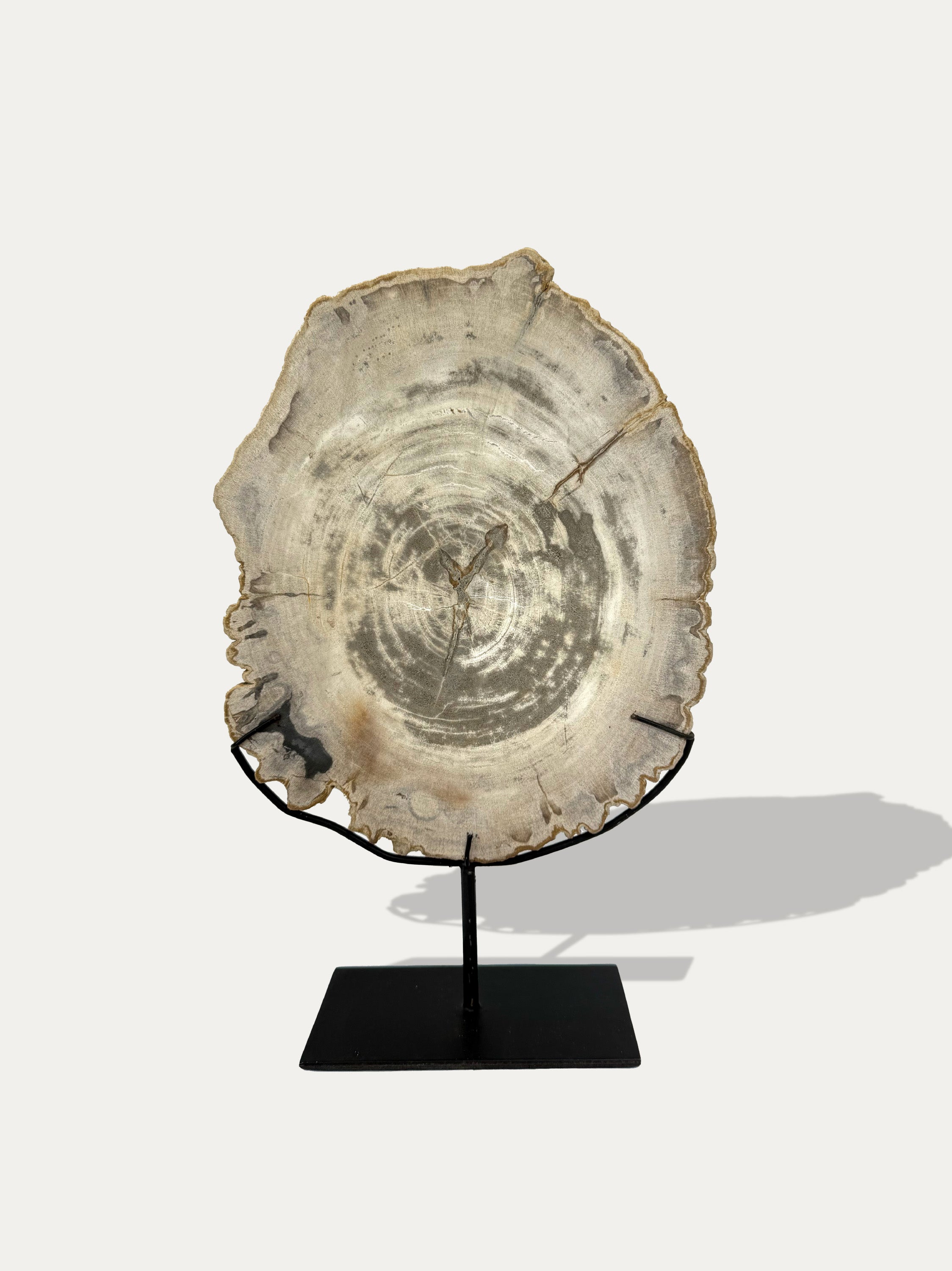 organic-petrified-wood-decor-object-lake-como-interior-design