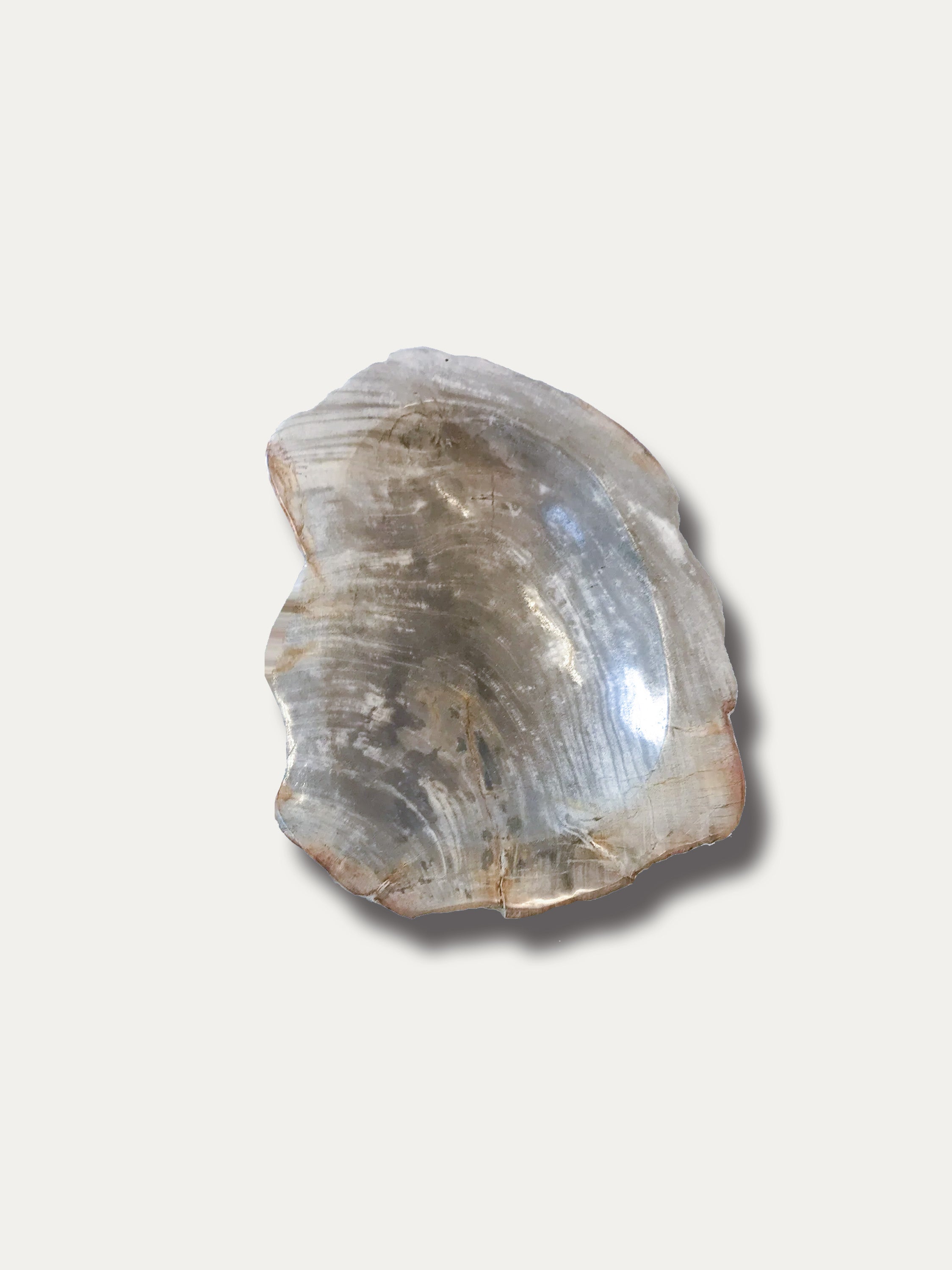 petrified-wood-bowl-fossilized-structure-natural-luxury-home-kirschon