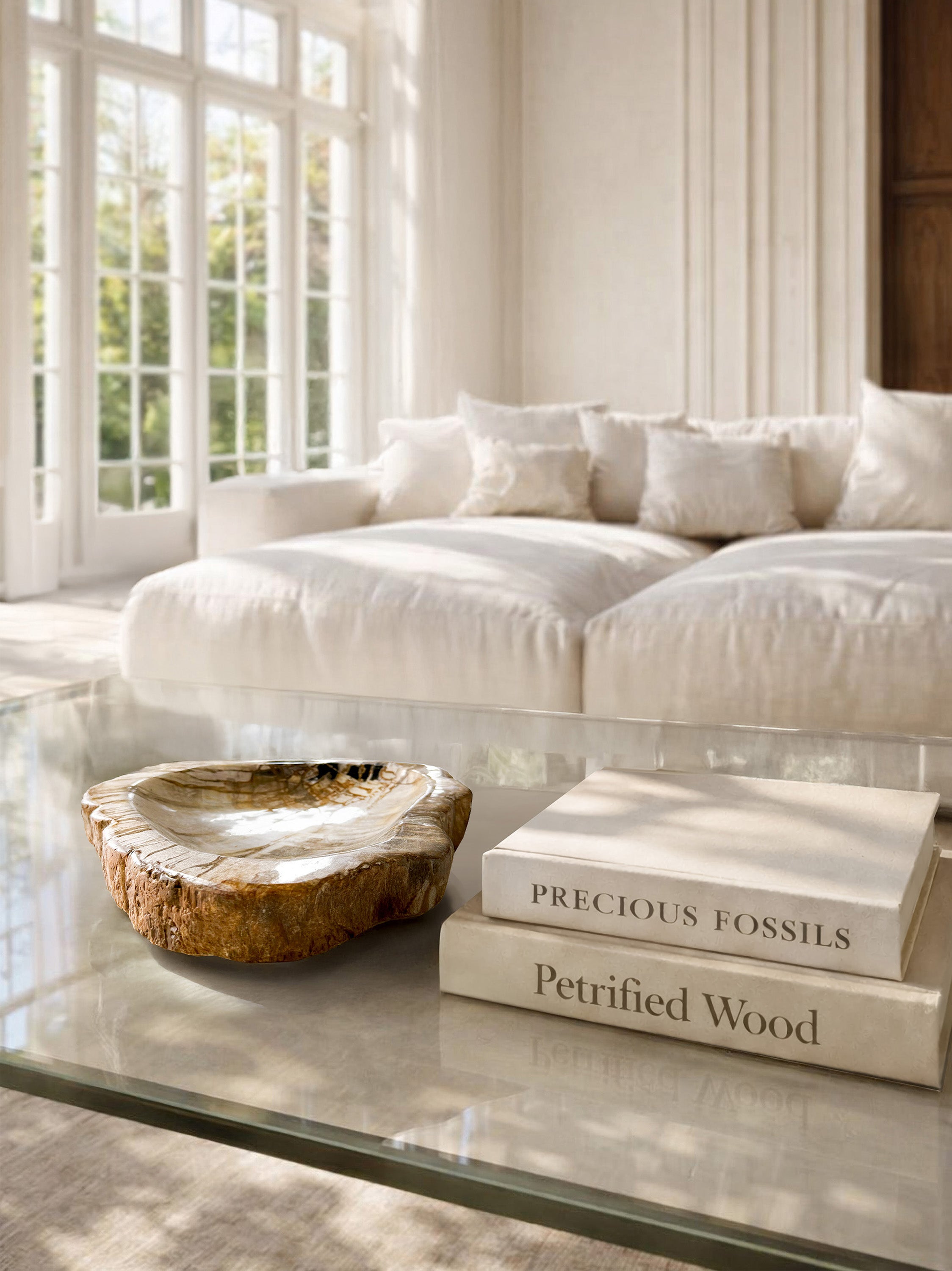 Porta oggetti in legno pietrificato