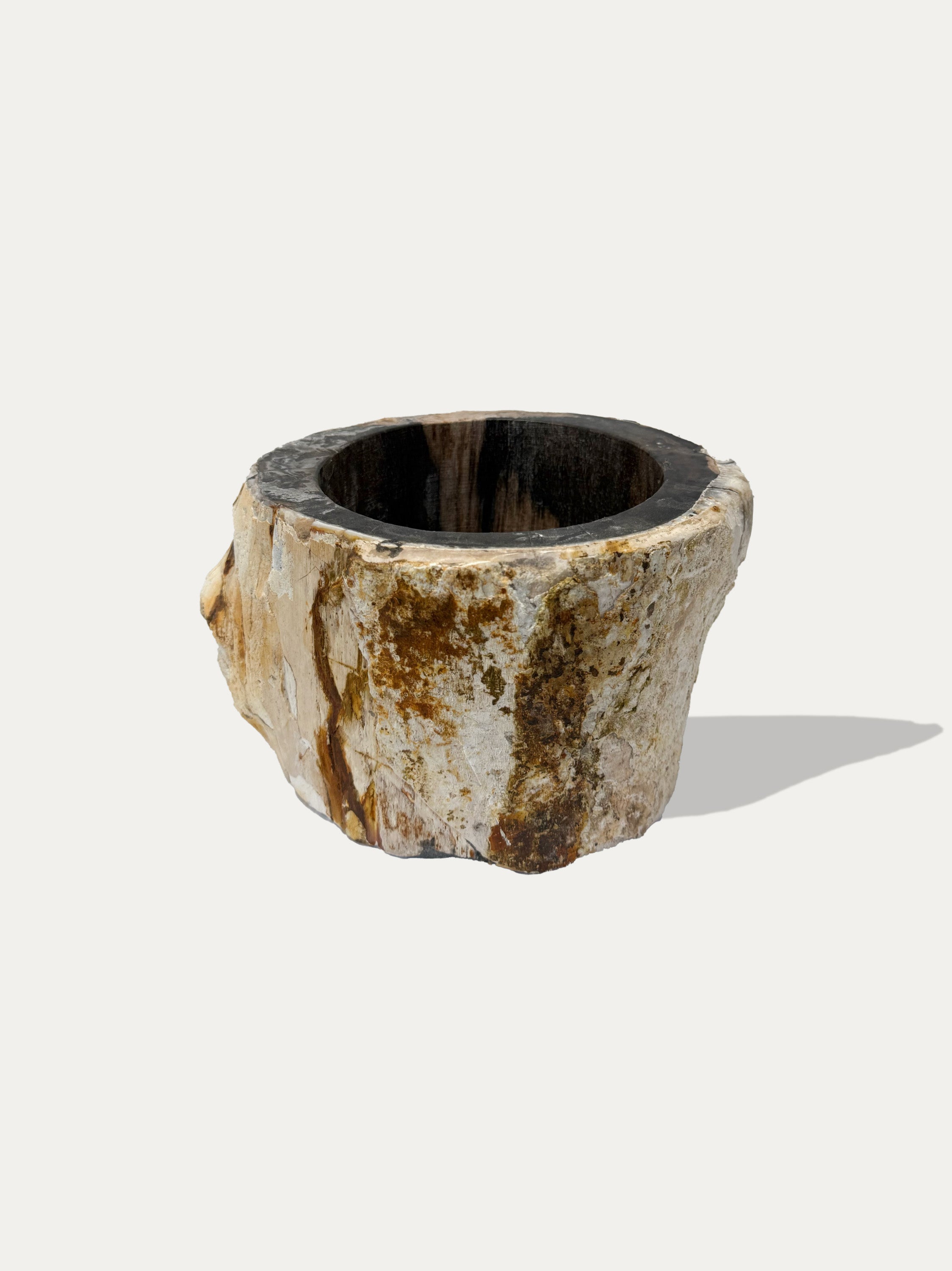 petrified-wood-bowl-vase-19cm-14cm