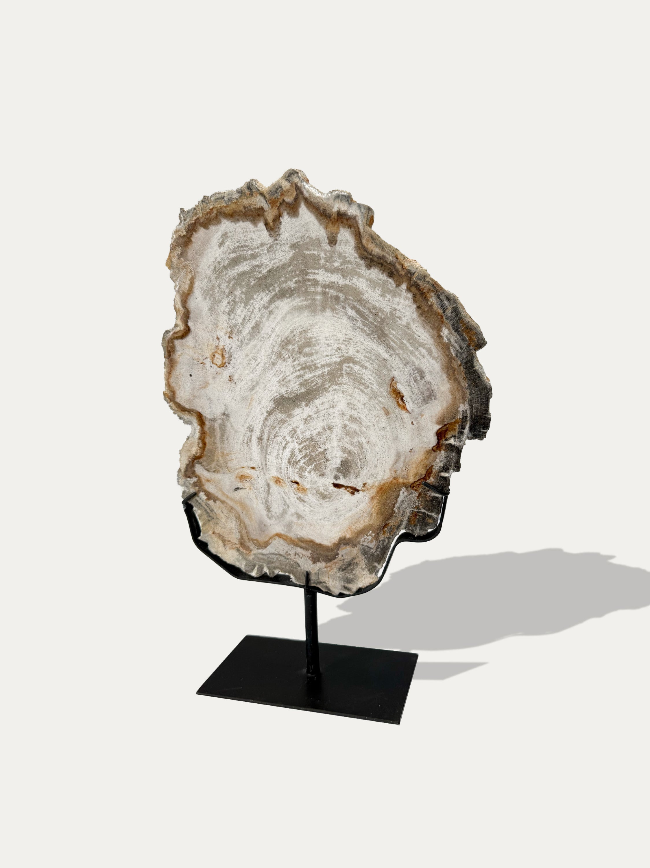 petrified-wood-decorative-tray-lake-como