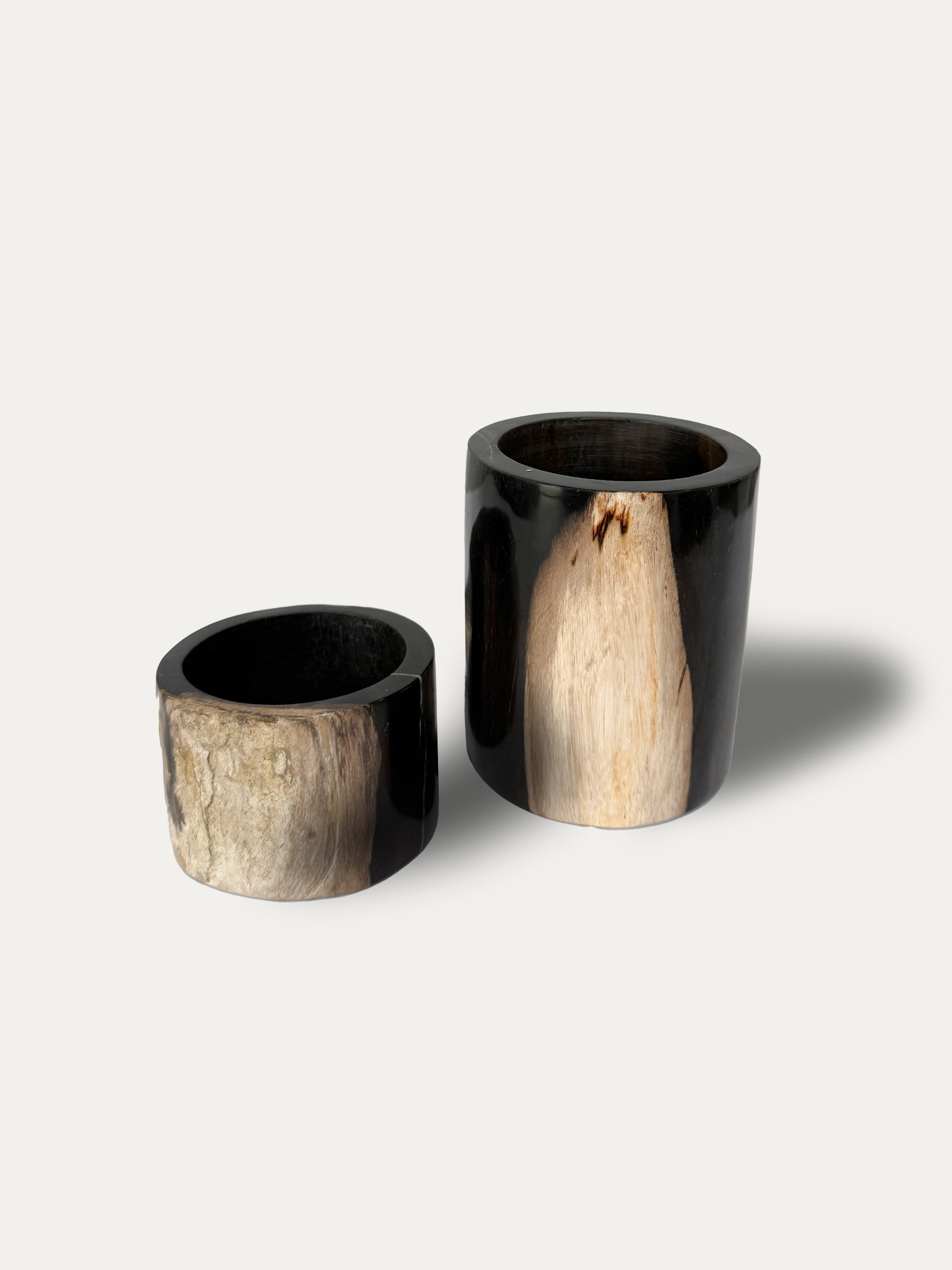 petrified-wood-desk-set-miocene-era-java-indonesia-kirschon