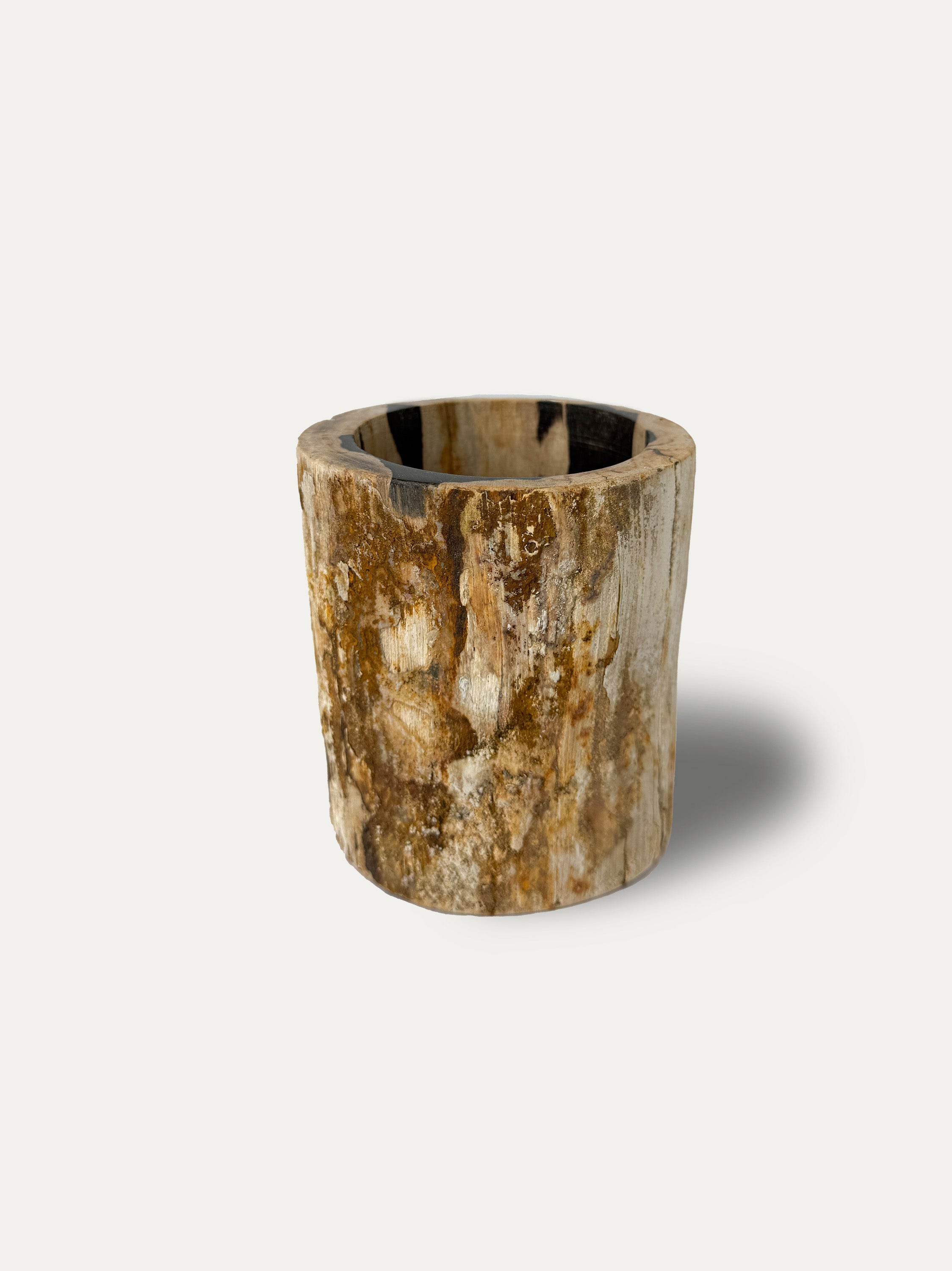 petrified-wood-glass-handmade-java-indonesia-fossil-cup-europe-luxury-decor