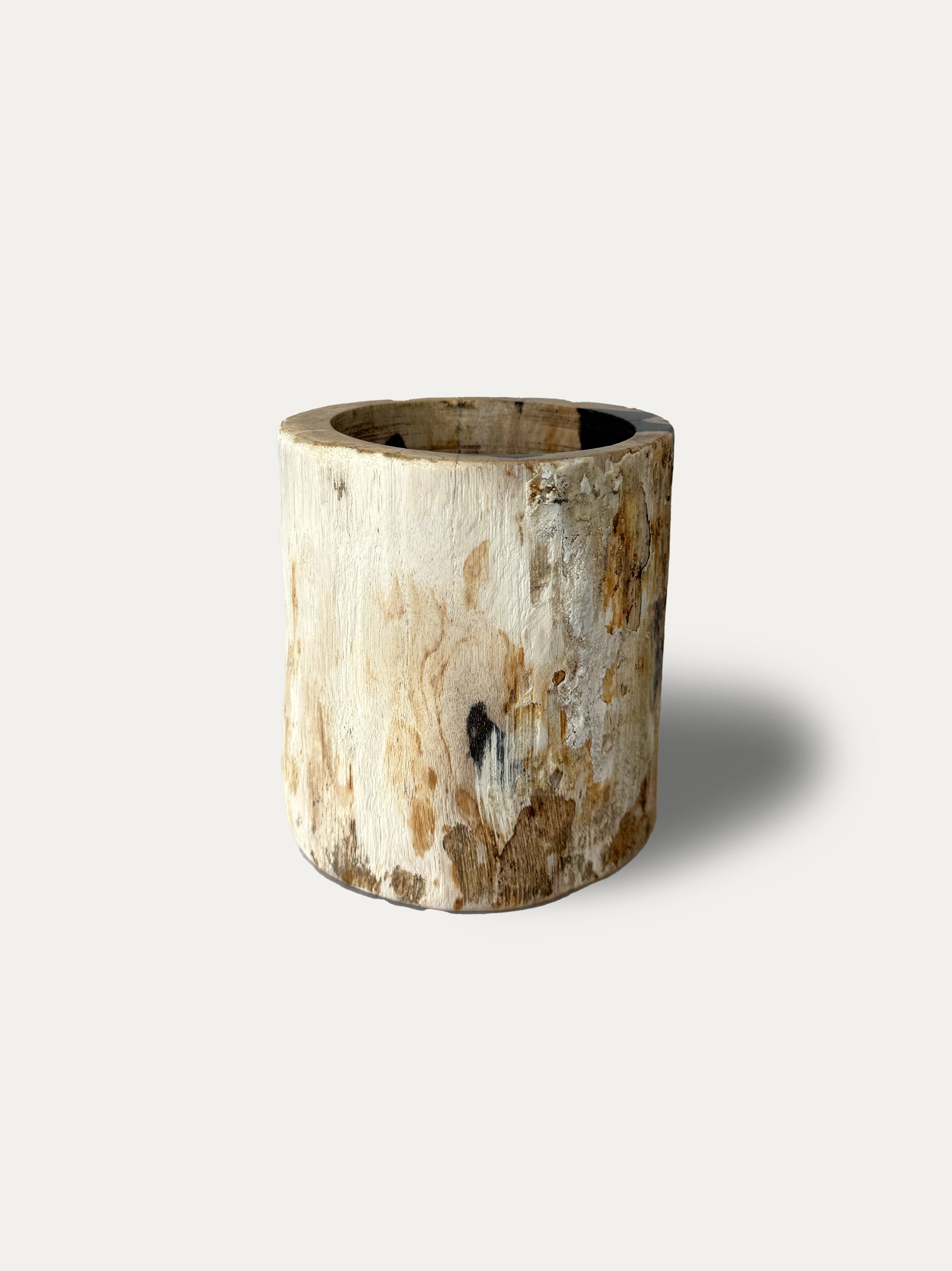 petrified-wood-glass-java-stone-wood-miocene-decor-europe.