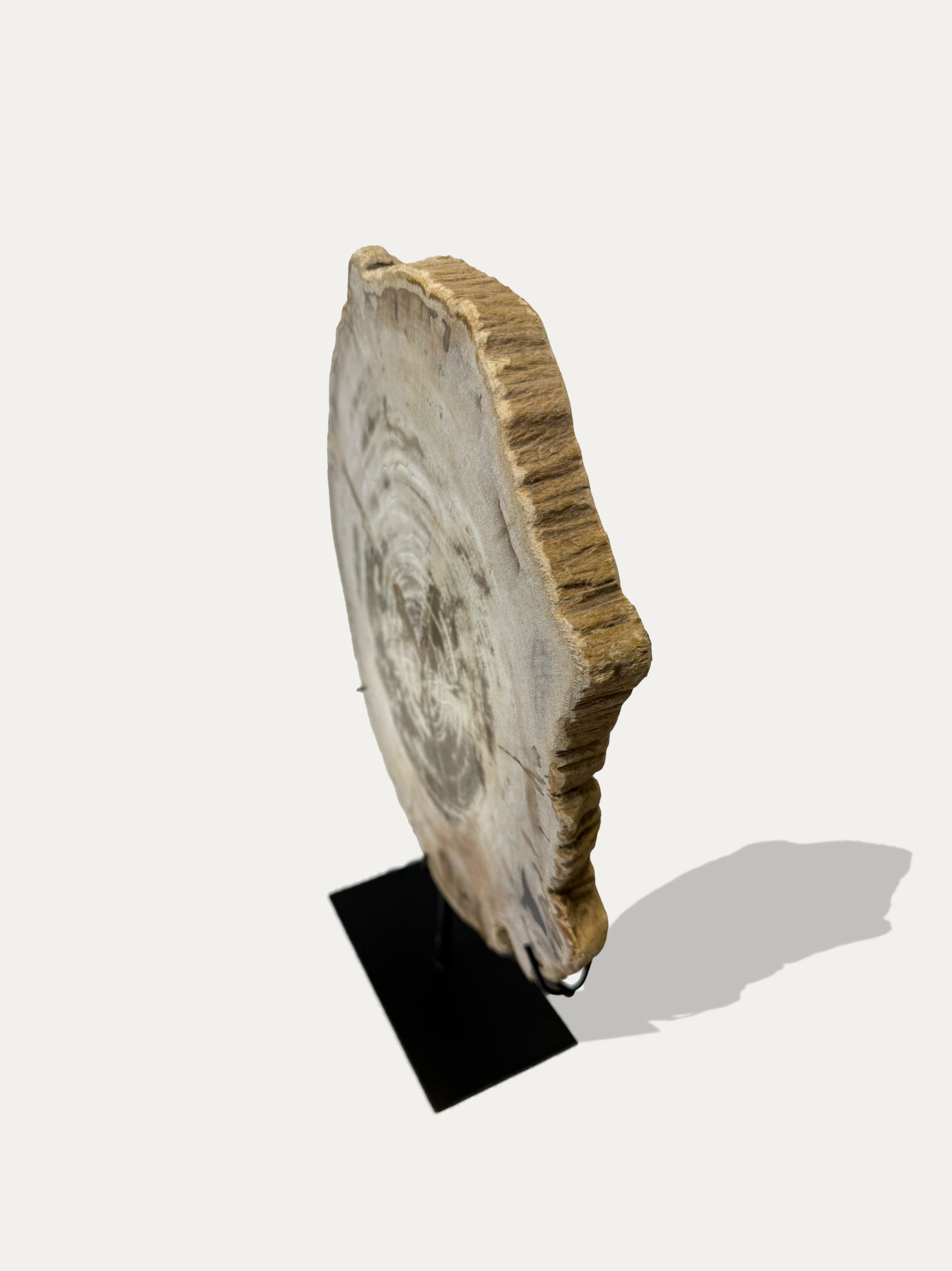 Petrified Wood Trays | Stone Decor from Lake Como | Kirschon