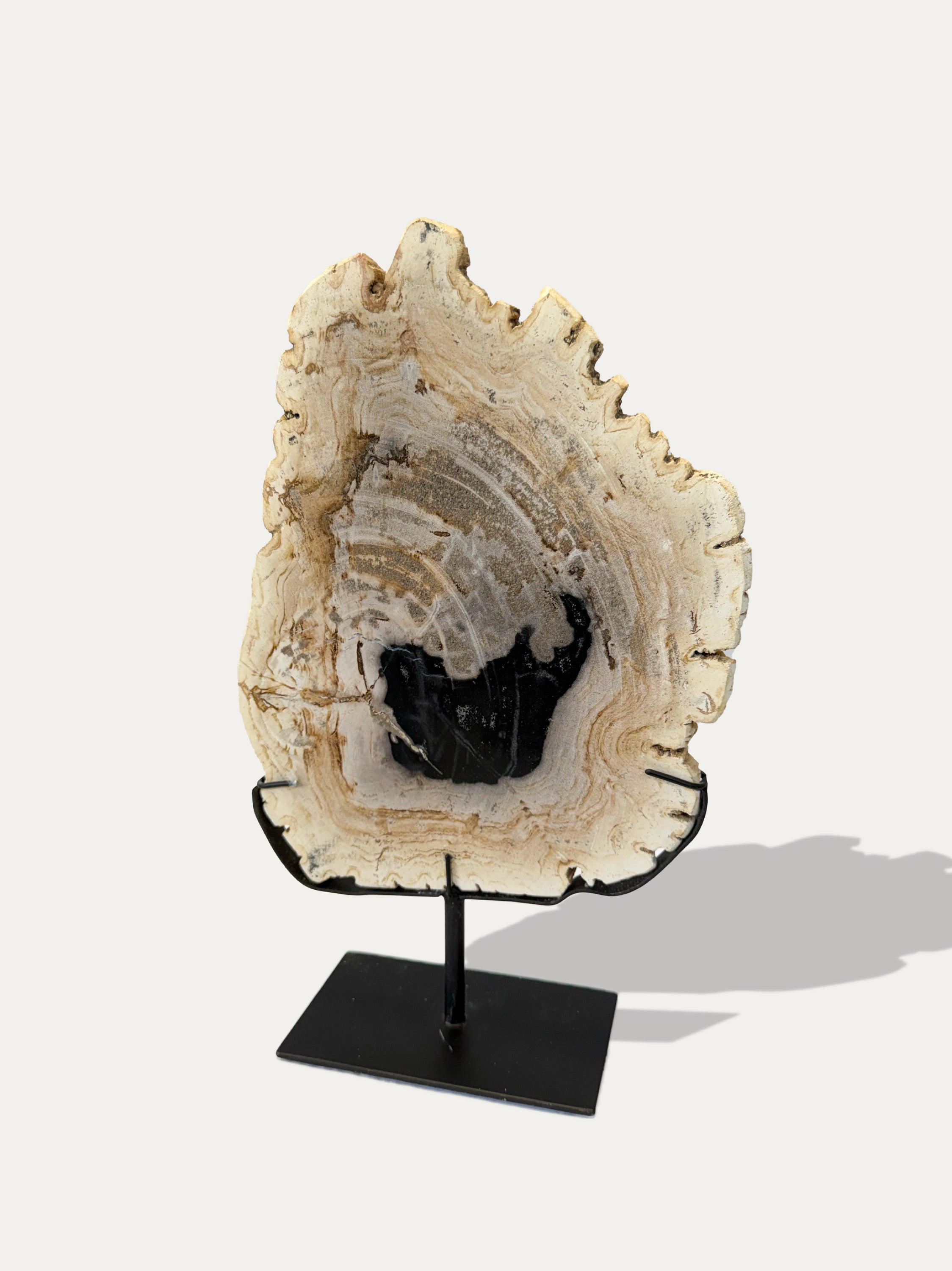 petrified-wood-sculpture-tray-set-unique-stone