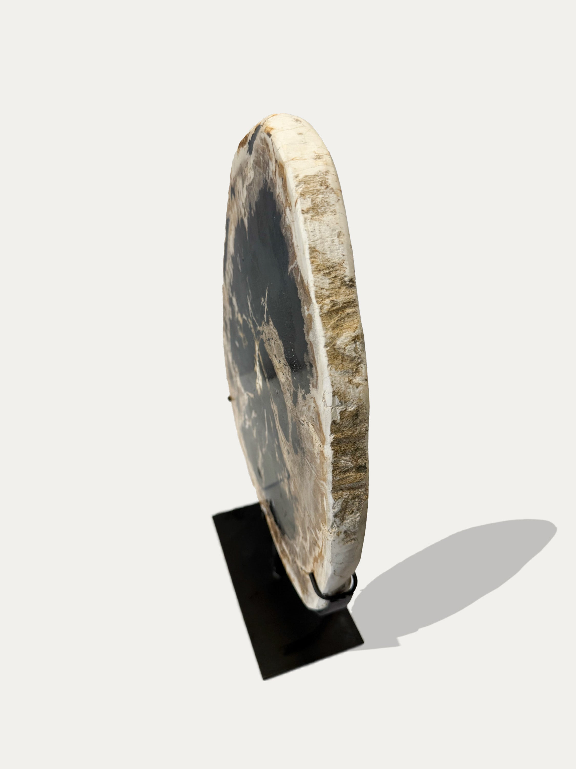 Petrified Wood Sculpture and Tray
