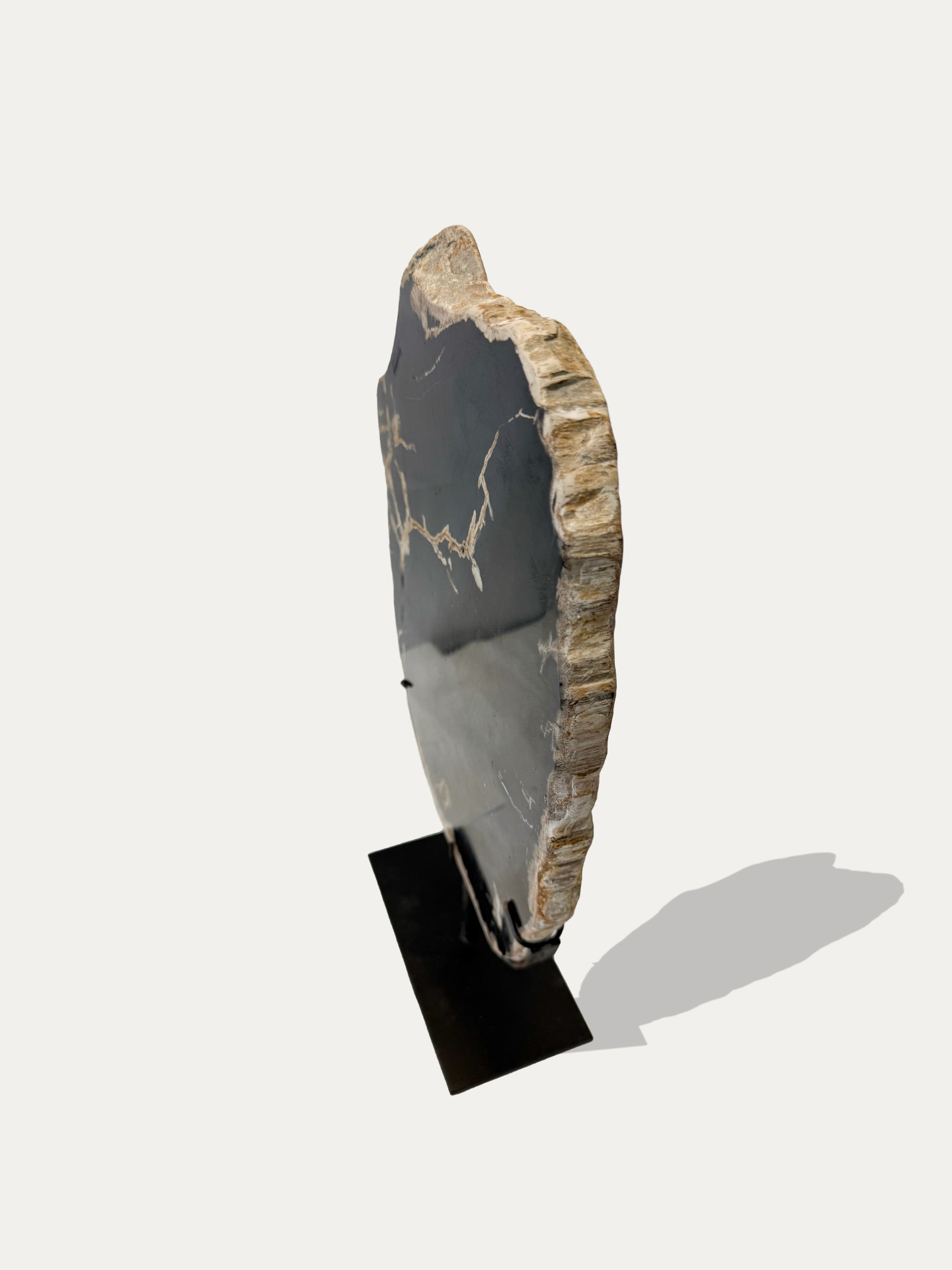 Scultura e Vassoio in Legno Pietrificato