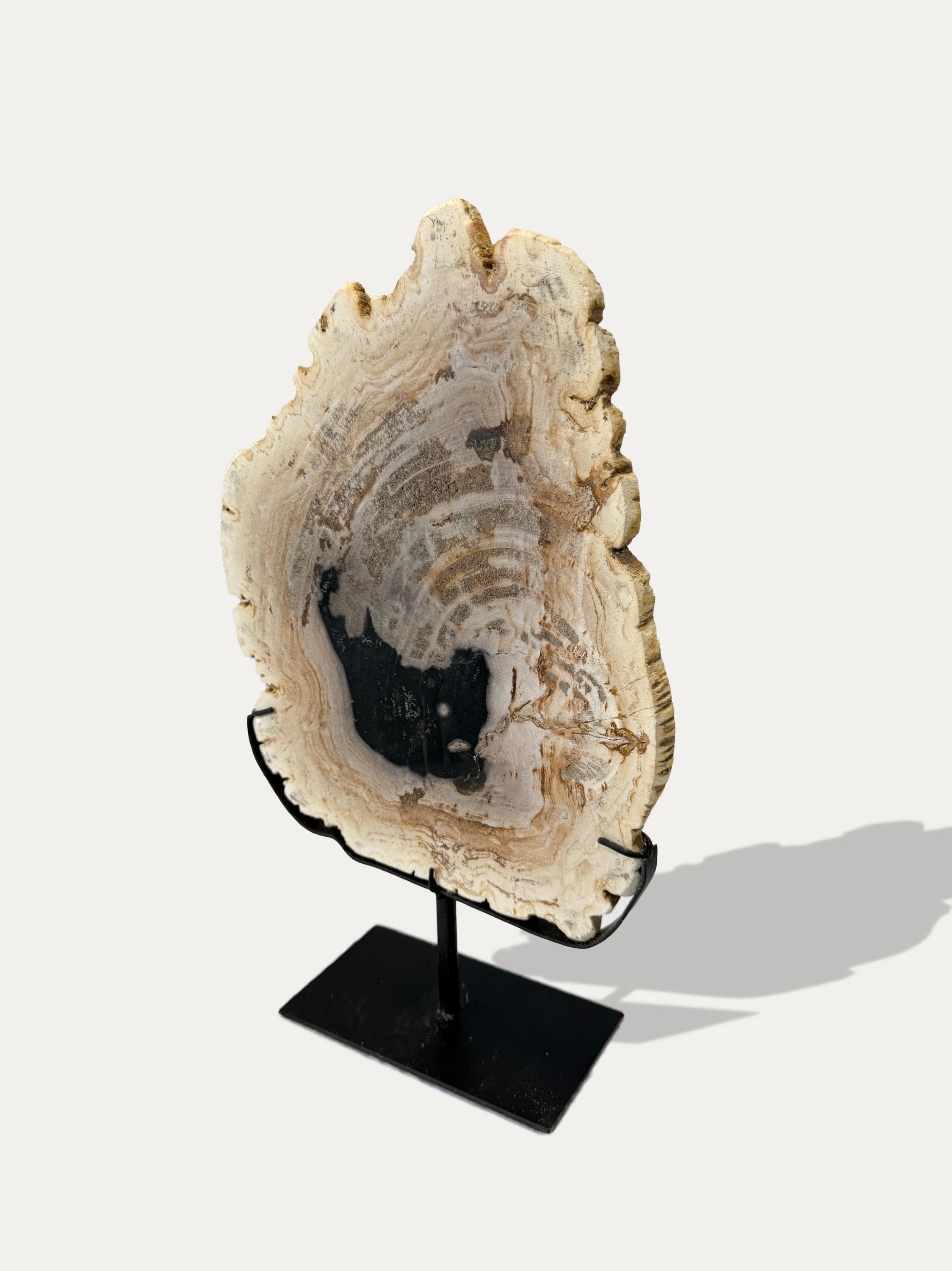 petrified-wood-tray-from-java-kirschon-lake-como