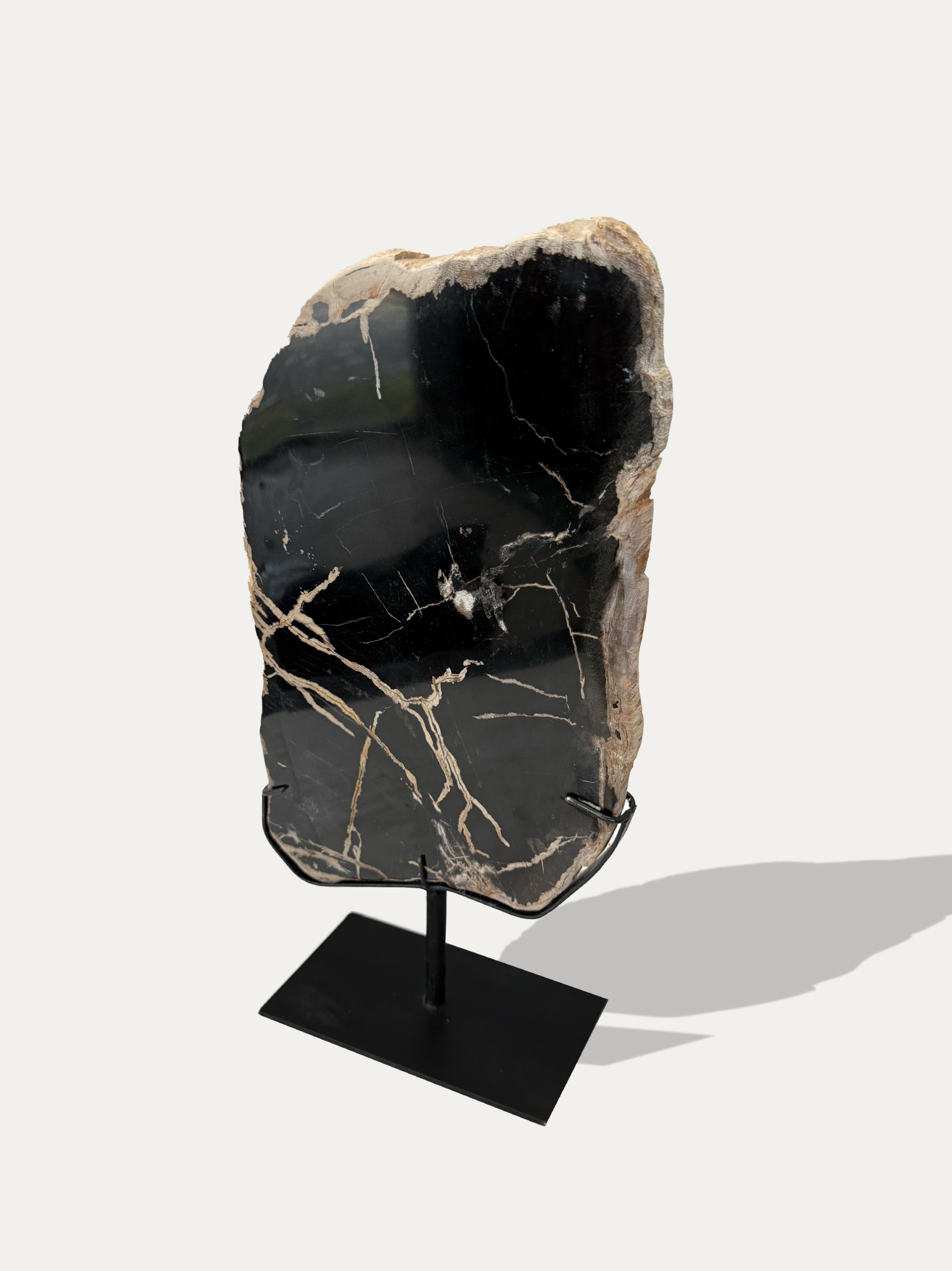 petrified-wood-tray-java-miocene-stone-kirschon