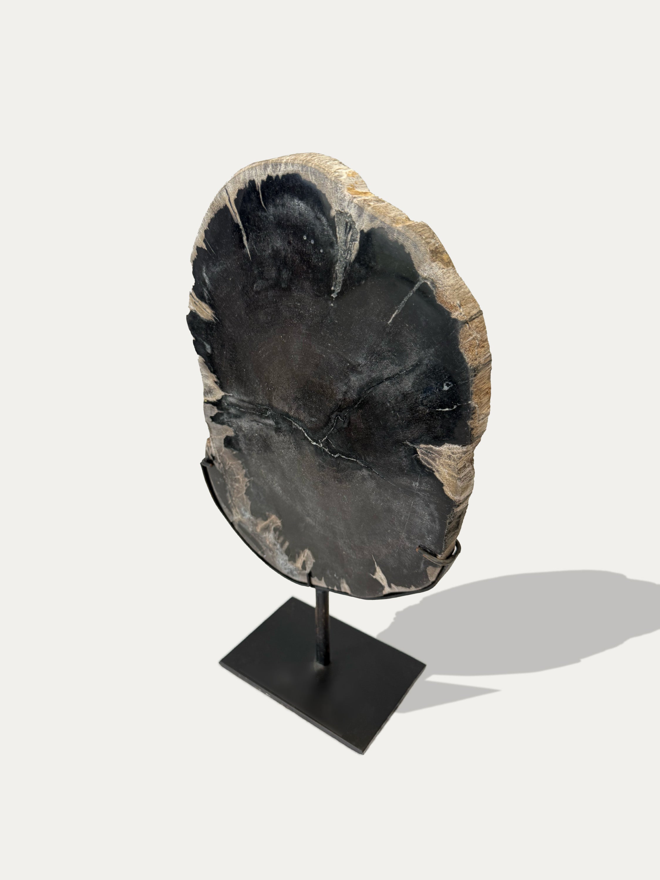 Petrified Wood Sculpture and Tray 1