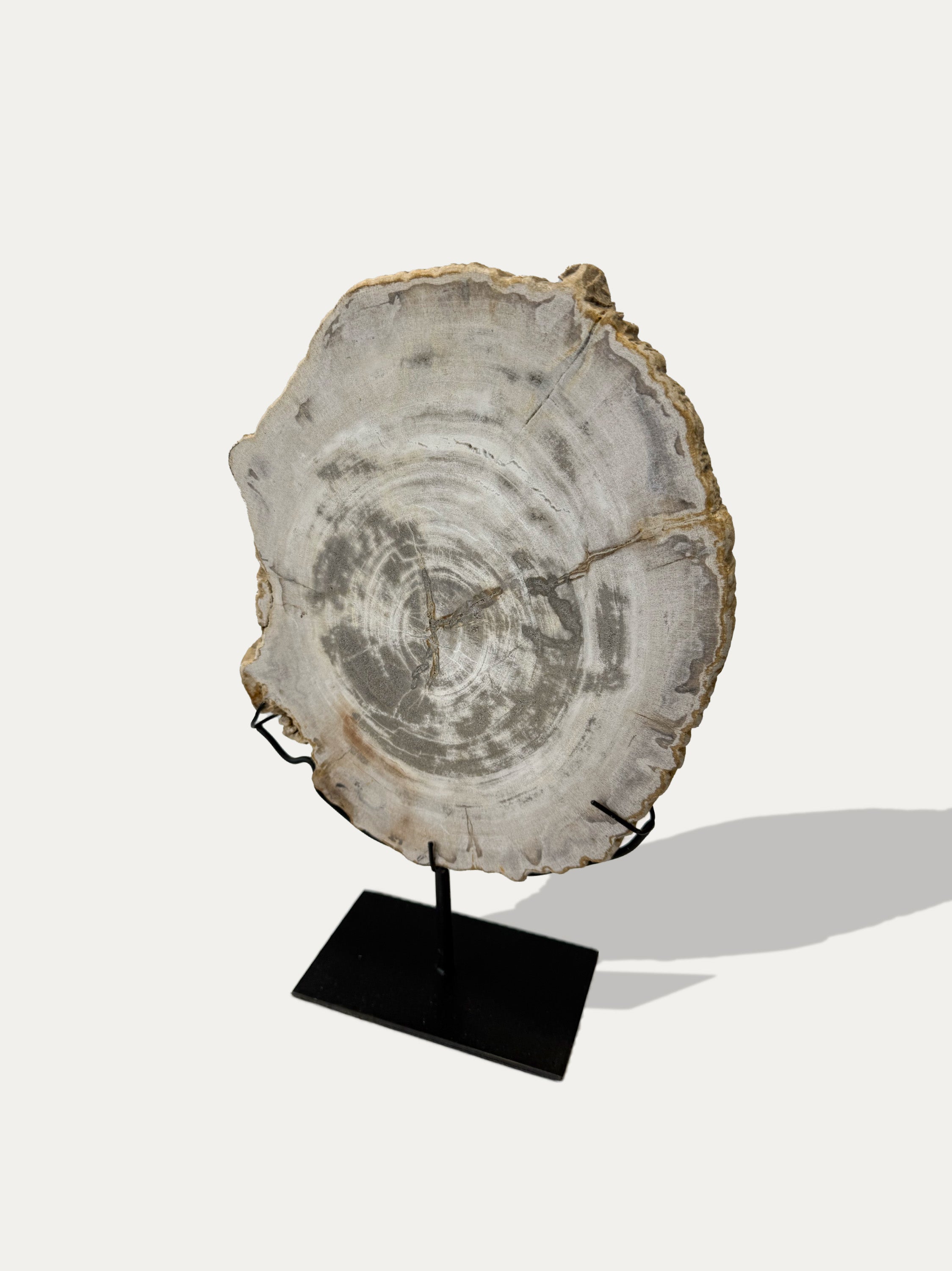petrified-wood-tray-java-stone-art-kirschon
