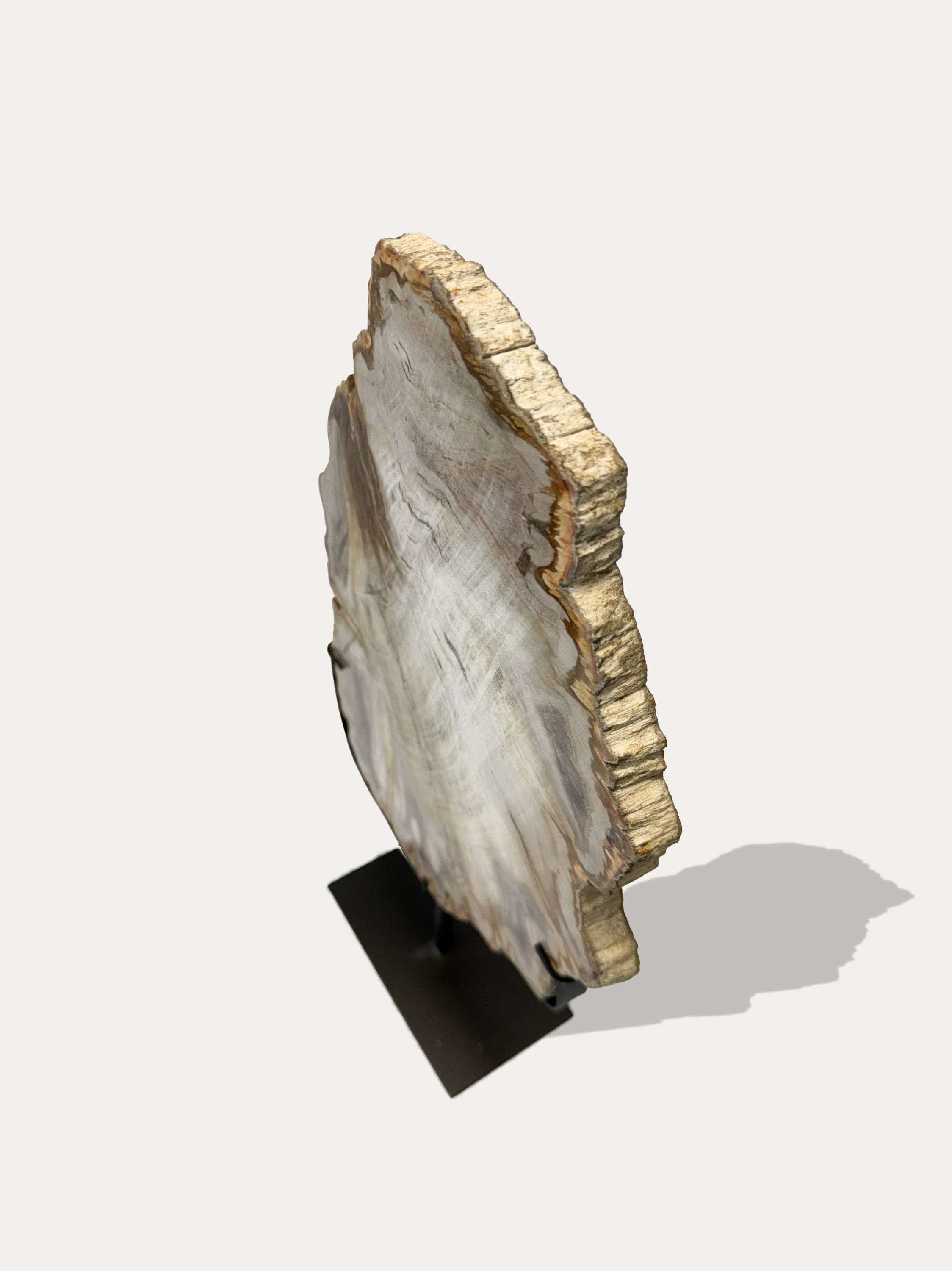 fossil-wood-tray-unique-home-decor-italy