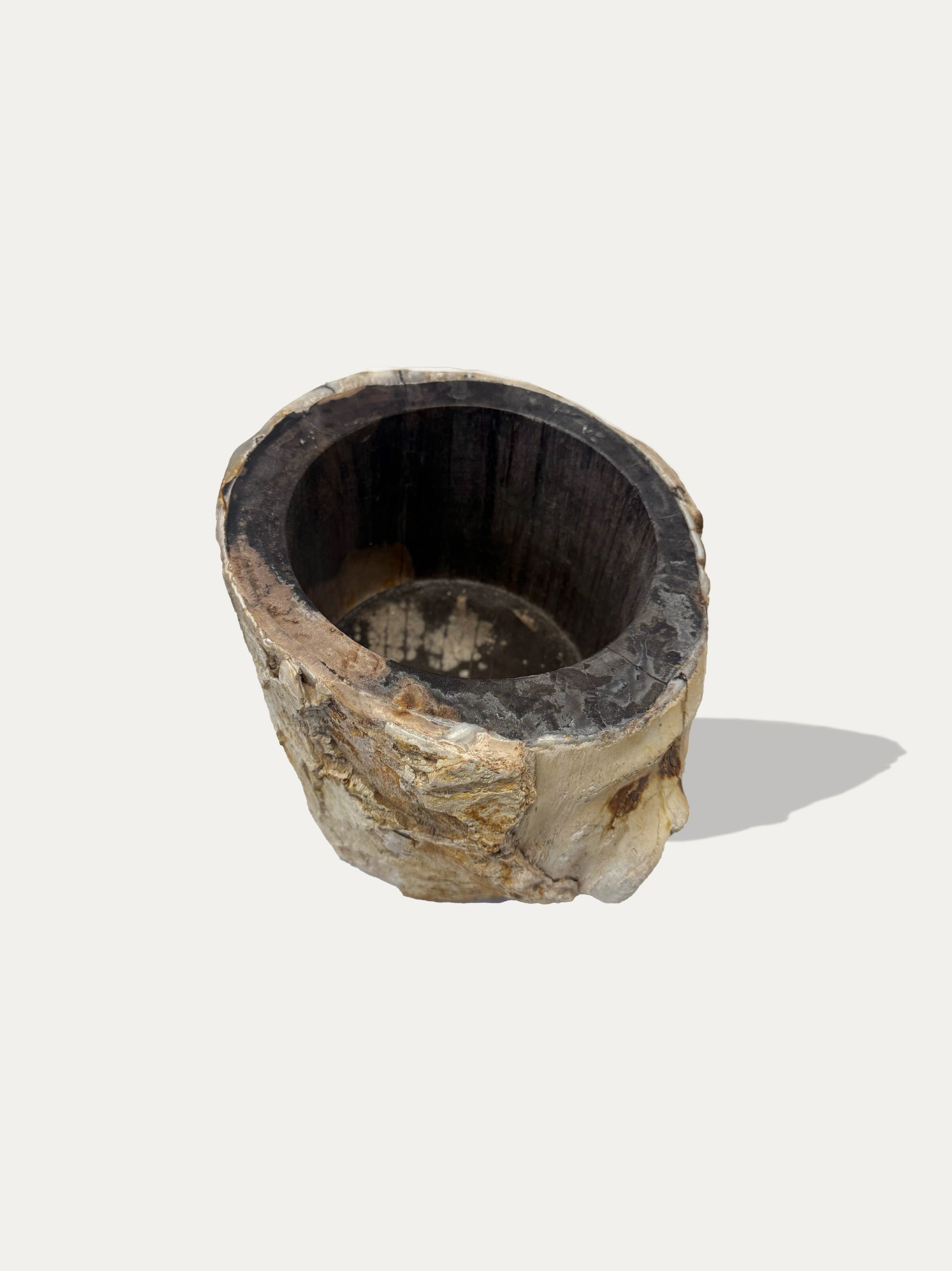 petrified-wood-vase-java-island-italian-store