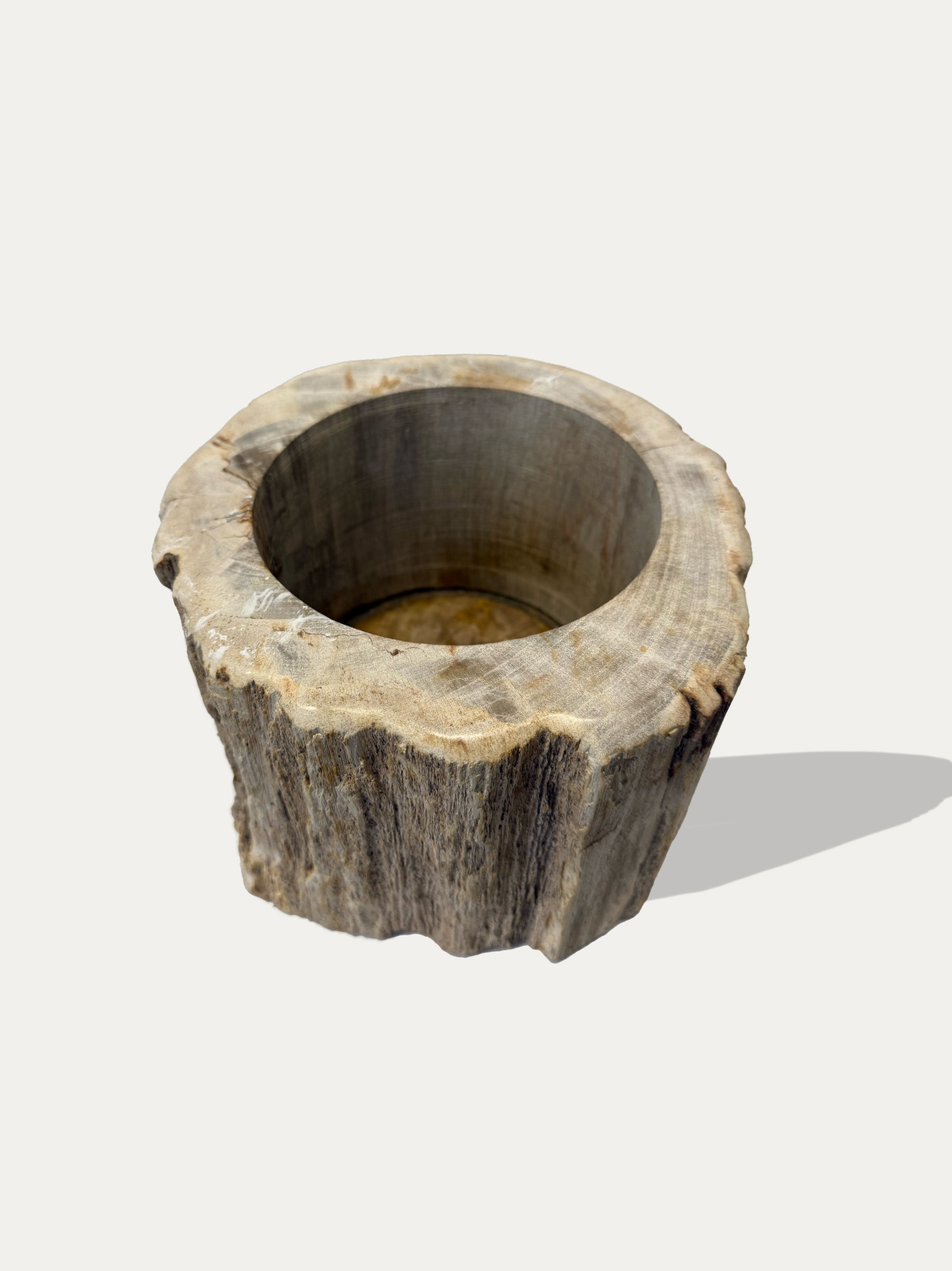 petrified-wood-vase-java-miocene-kirschon-lake-como