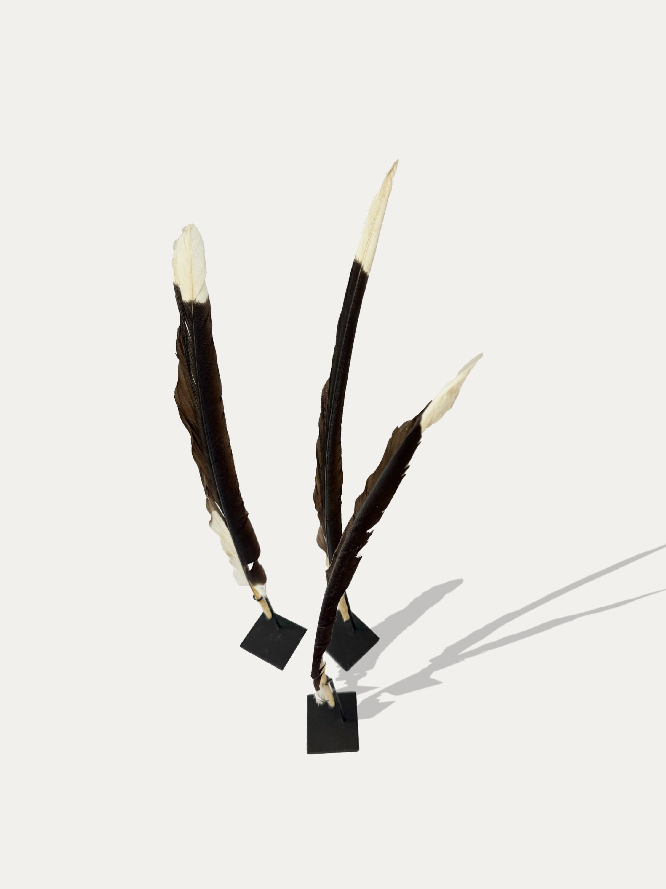 set-of-3-natural-waterbird-feathers-from-indonesia-on-stands