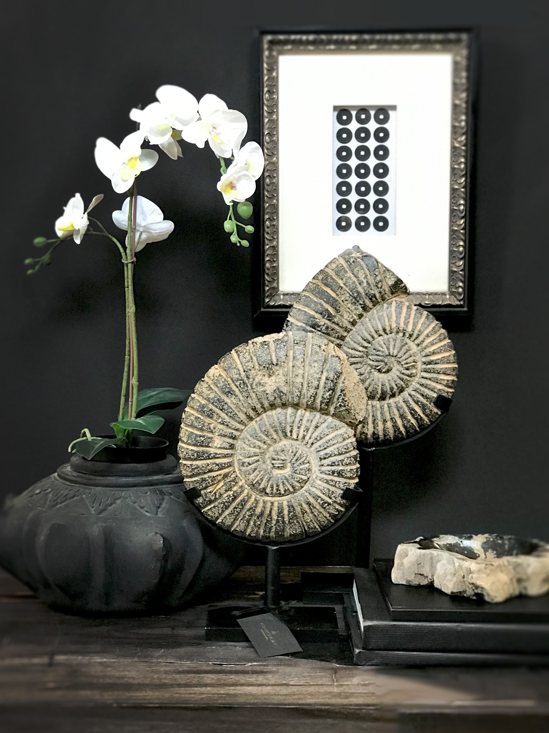 Set of 2 black Ammonite stone statues from Java - Asian art from Kirschon