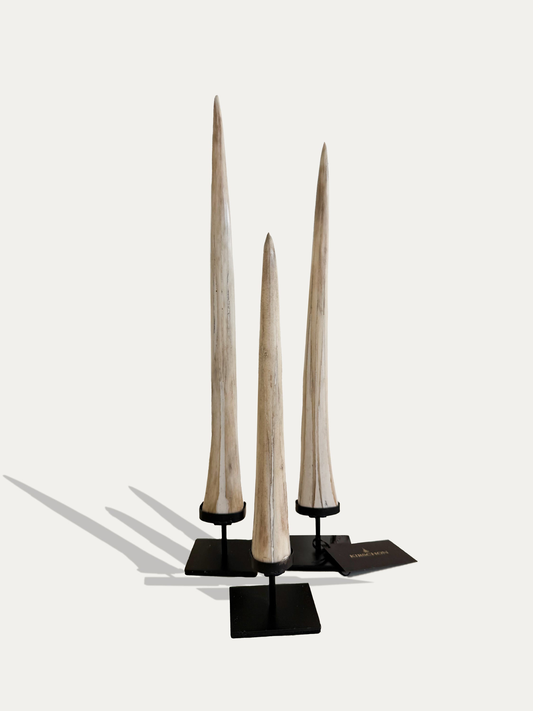 swordfish-rostrum-set-indonesia-3