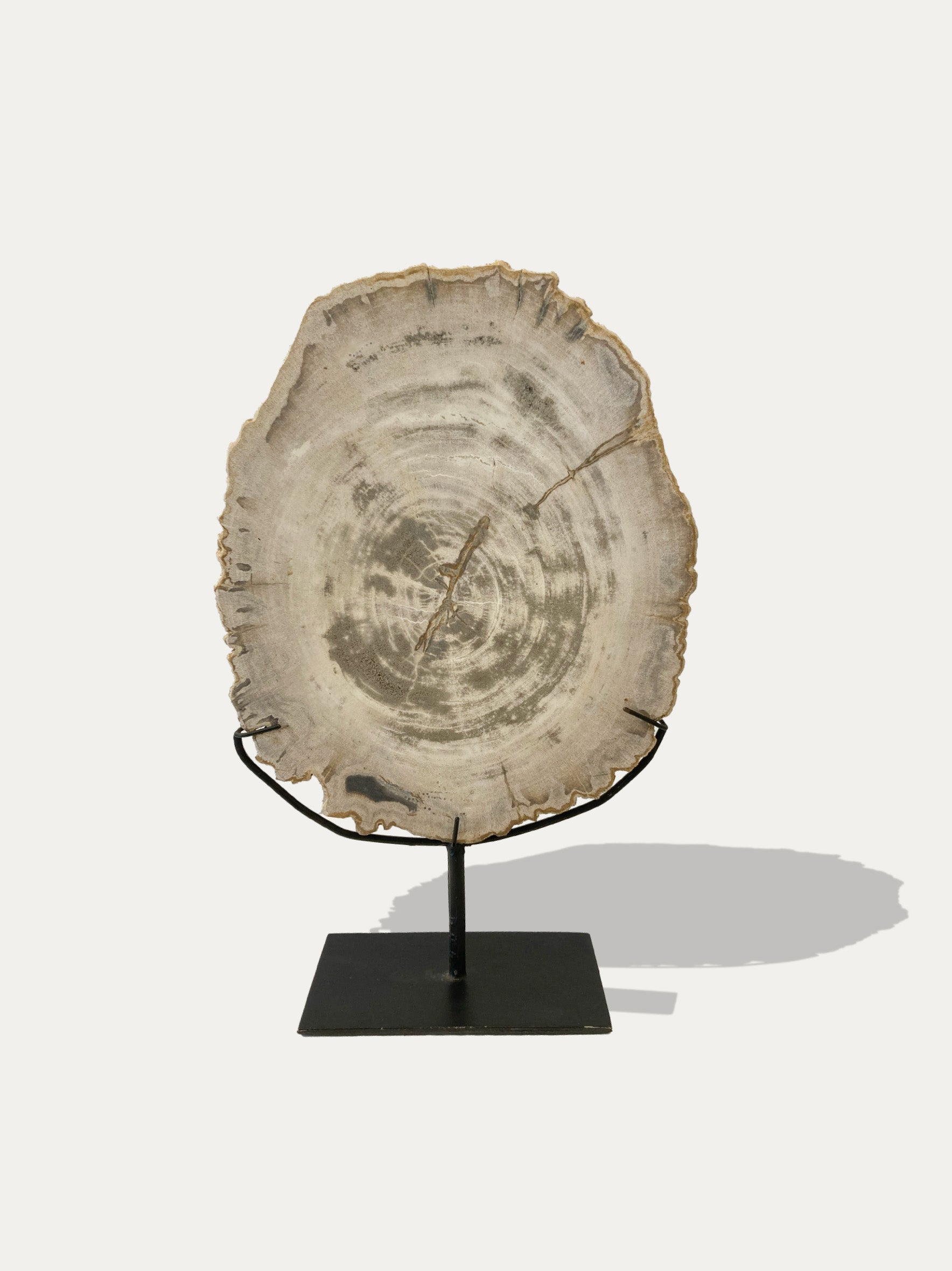 Petrified Wood Sculpture and Tray