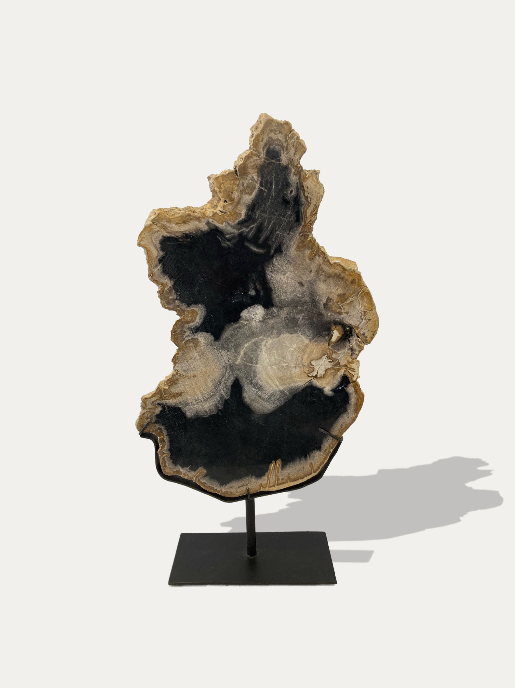 Petrified Wood Sculpture and Tray