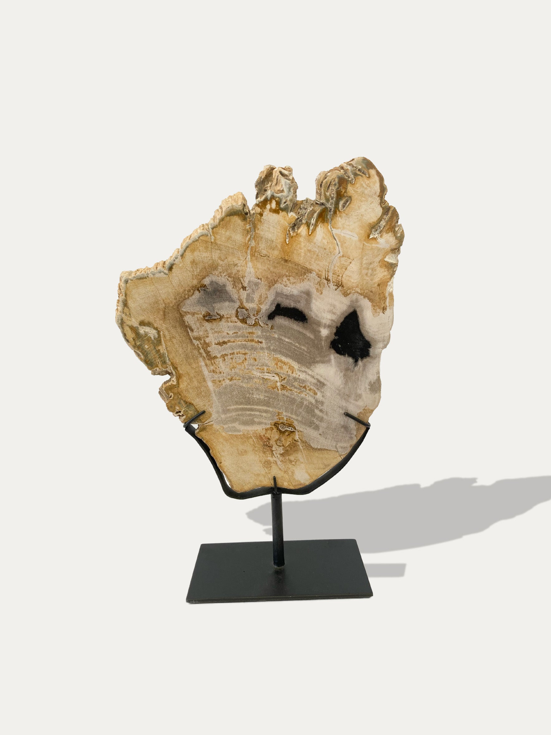 Petrified Wood Sculpture and Tray