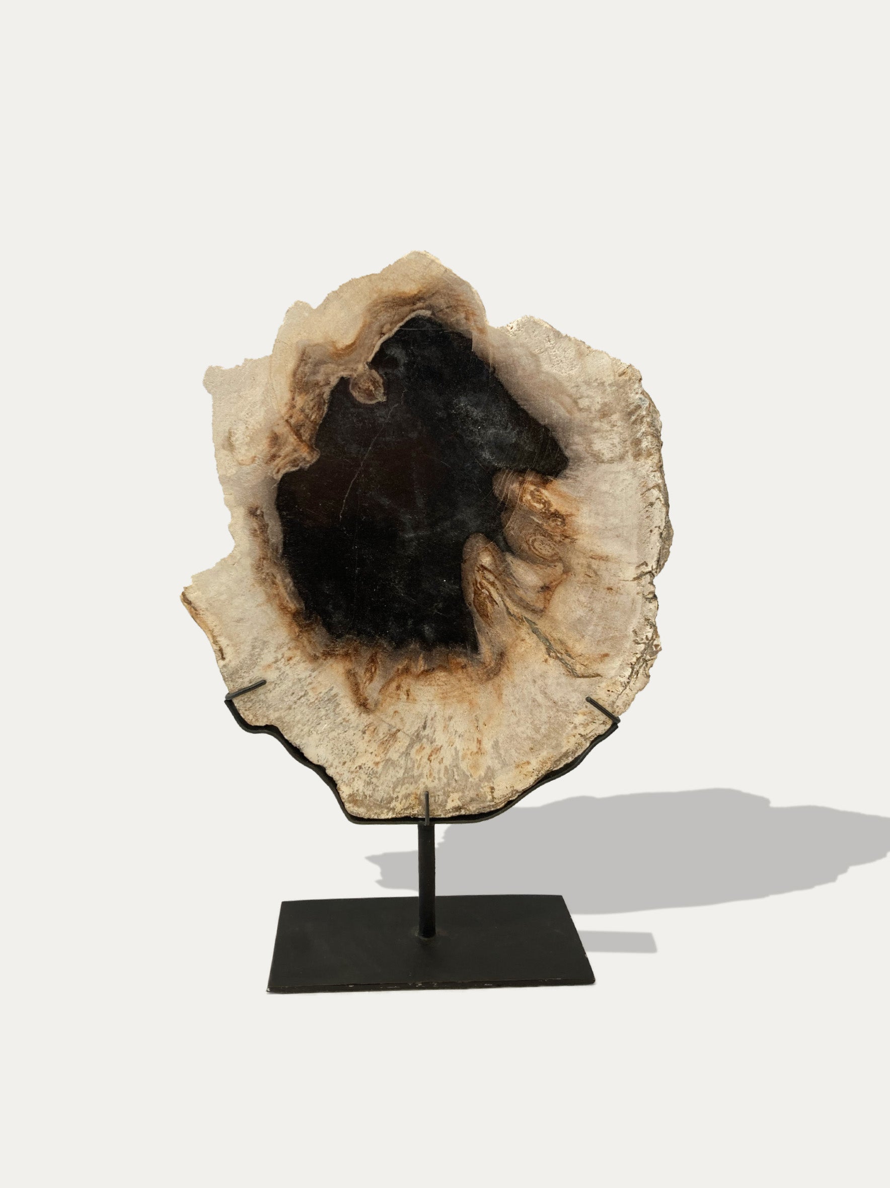 Petrified Wood Sculpture and Tray