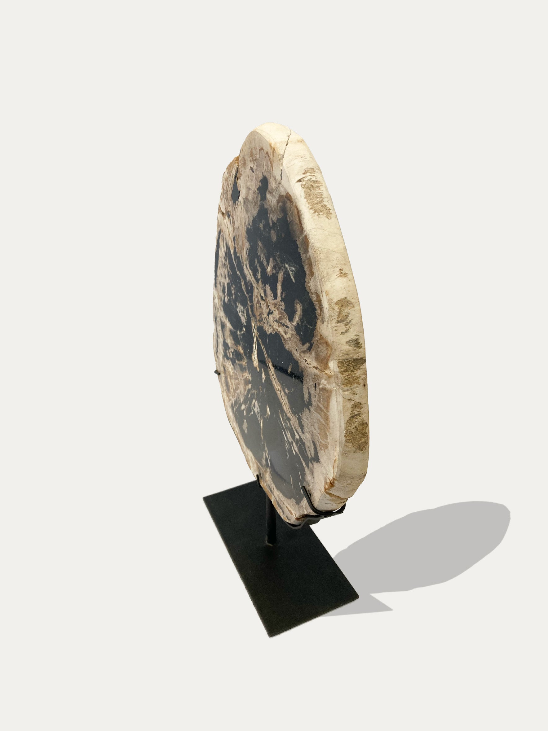 Petrified Wood Sculpture and Tray