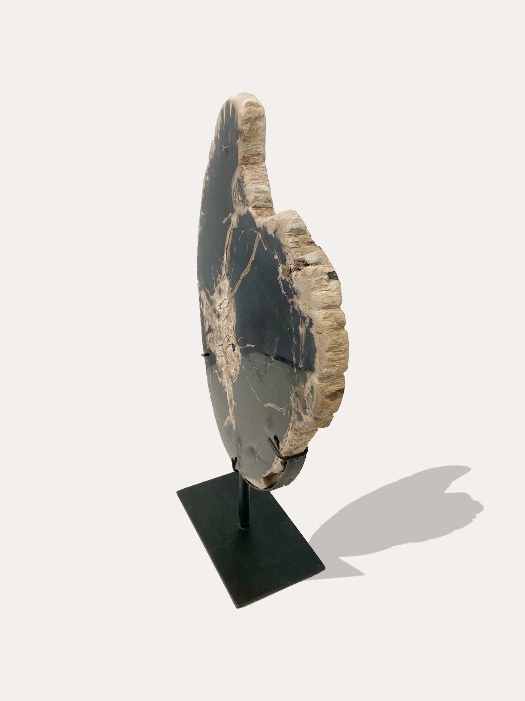 Petrified Wood Sculpture and Tray