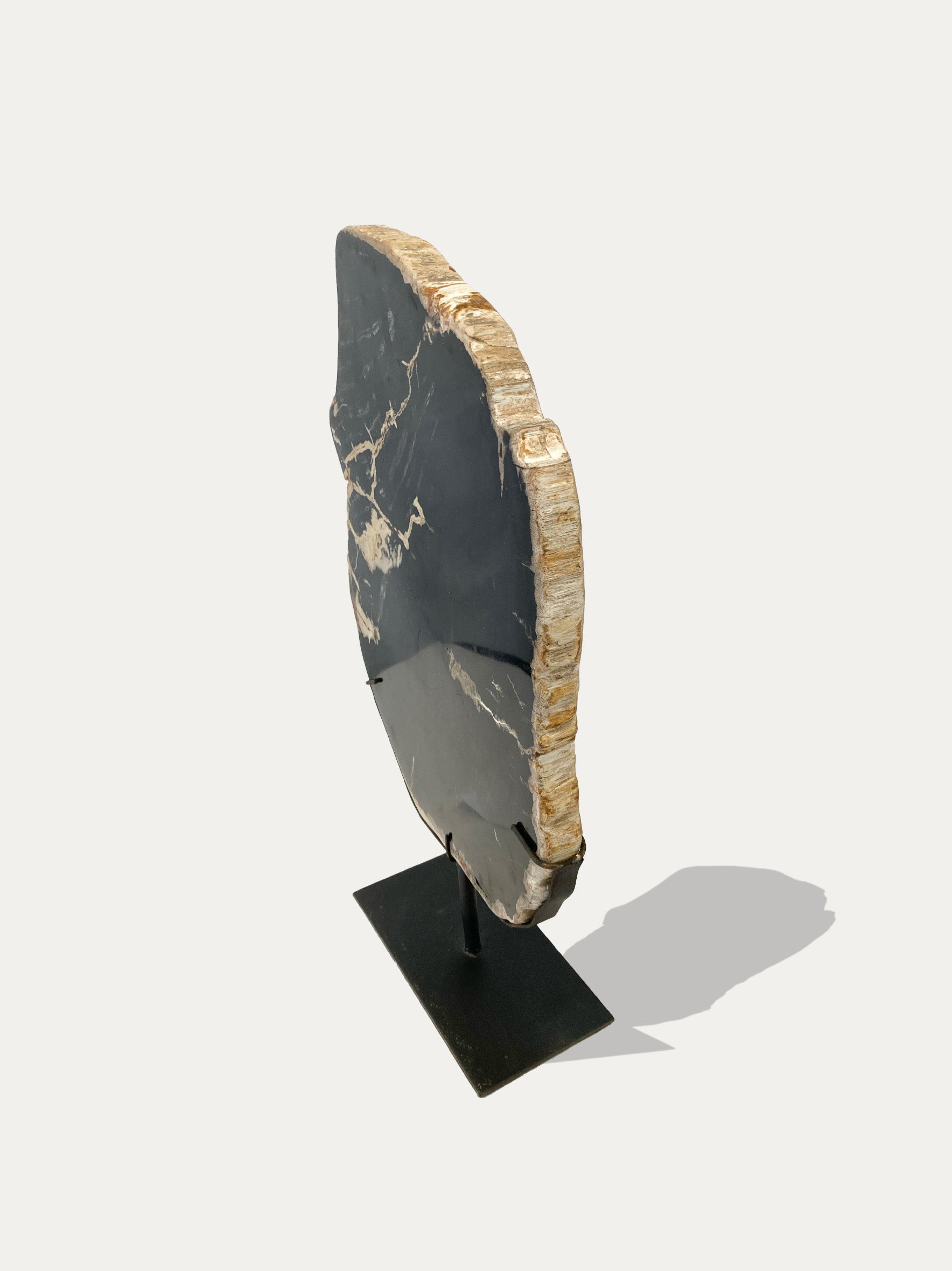 Petrified Wood Sculpture and Tray