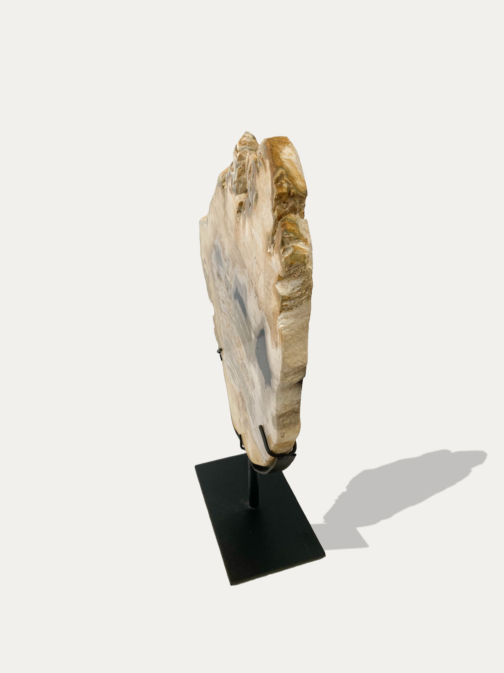 Petrified Wood Sculpture and Tray