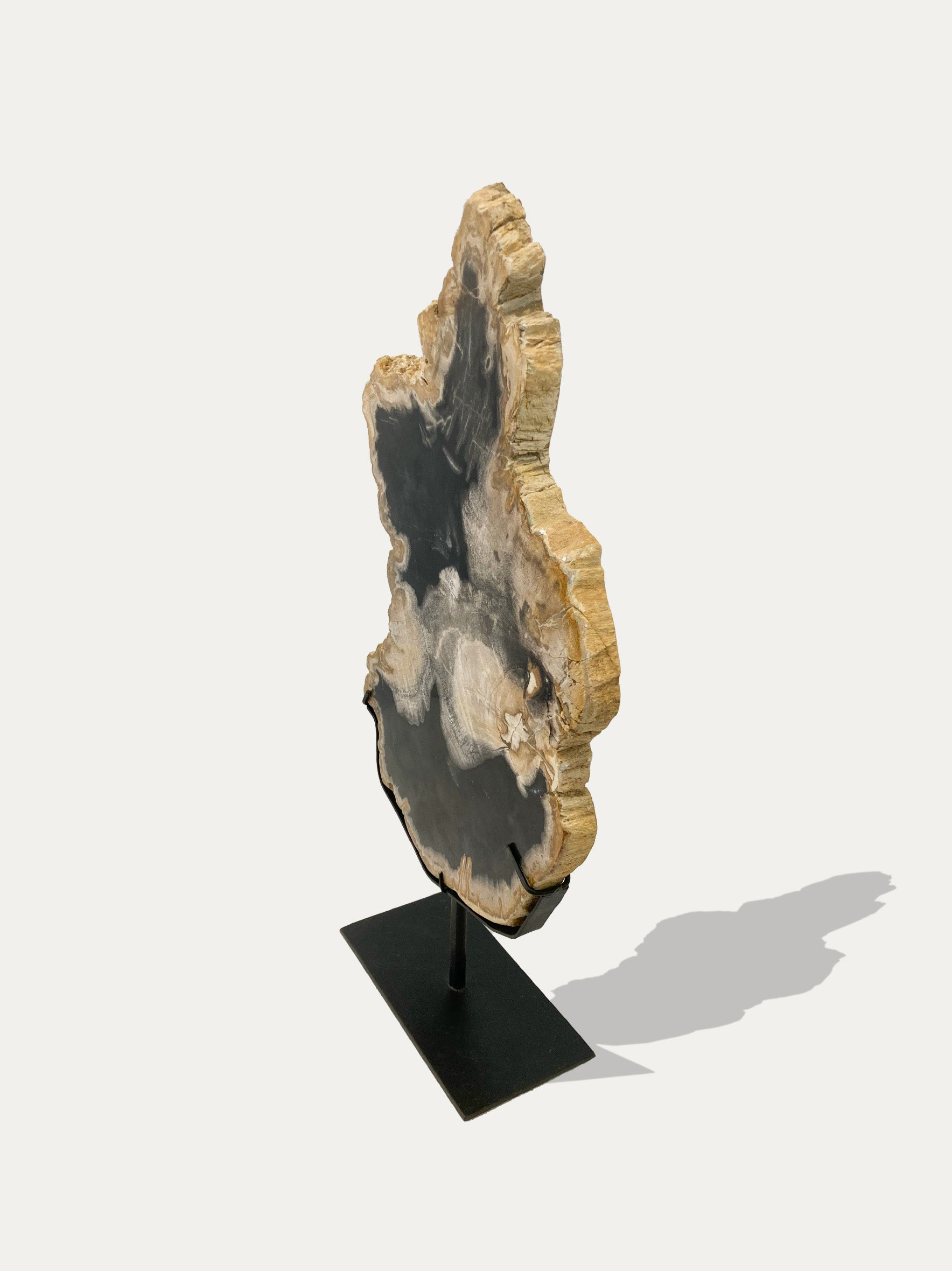 Petrified Wood Sculpture and Tray