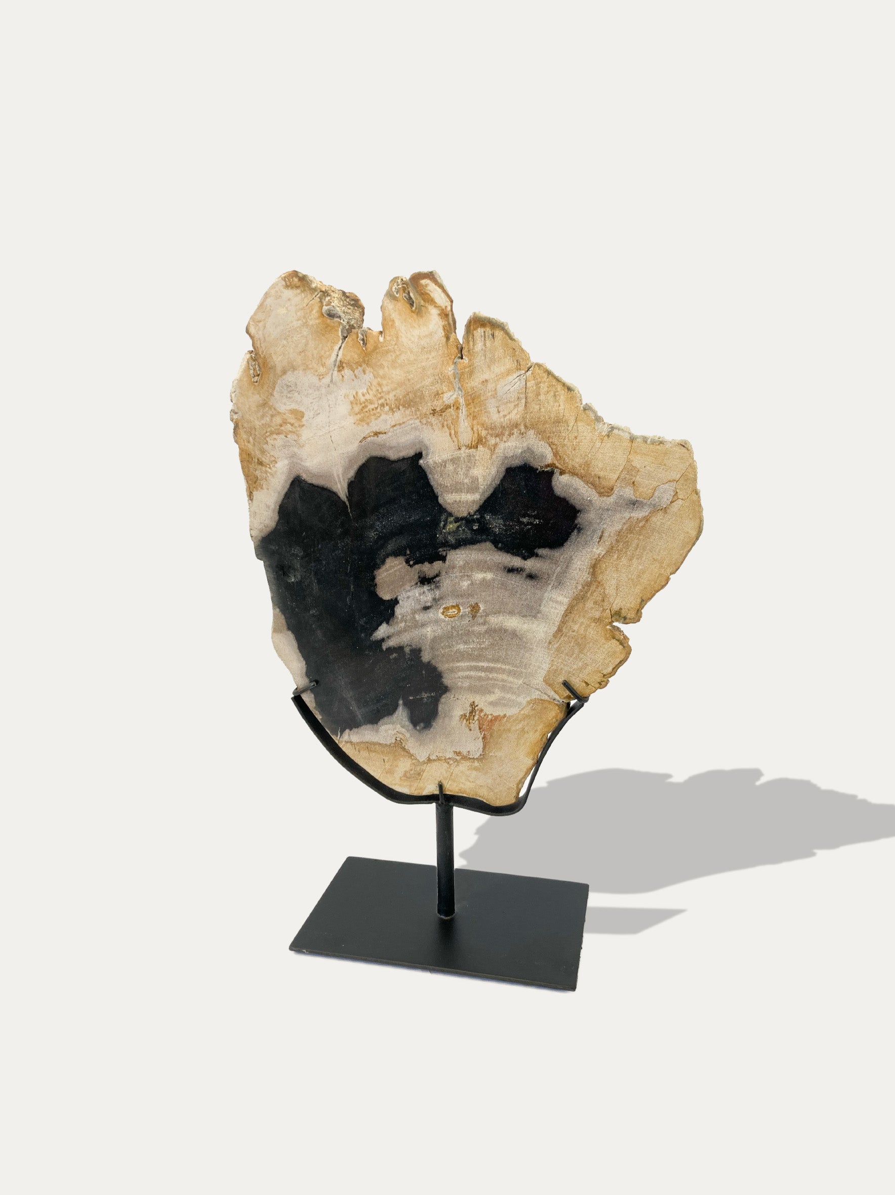 Petrified Wood Sculpture and Tray