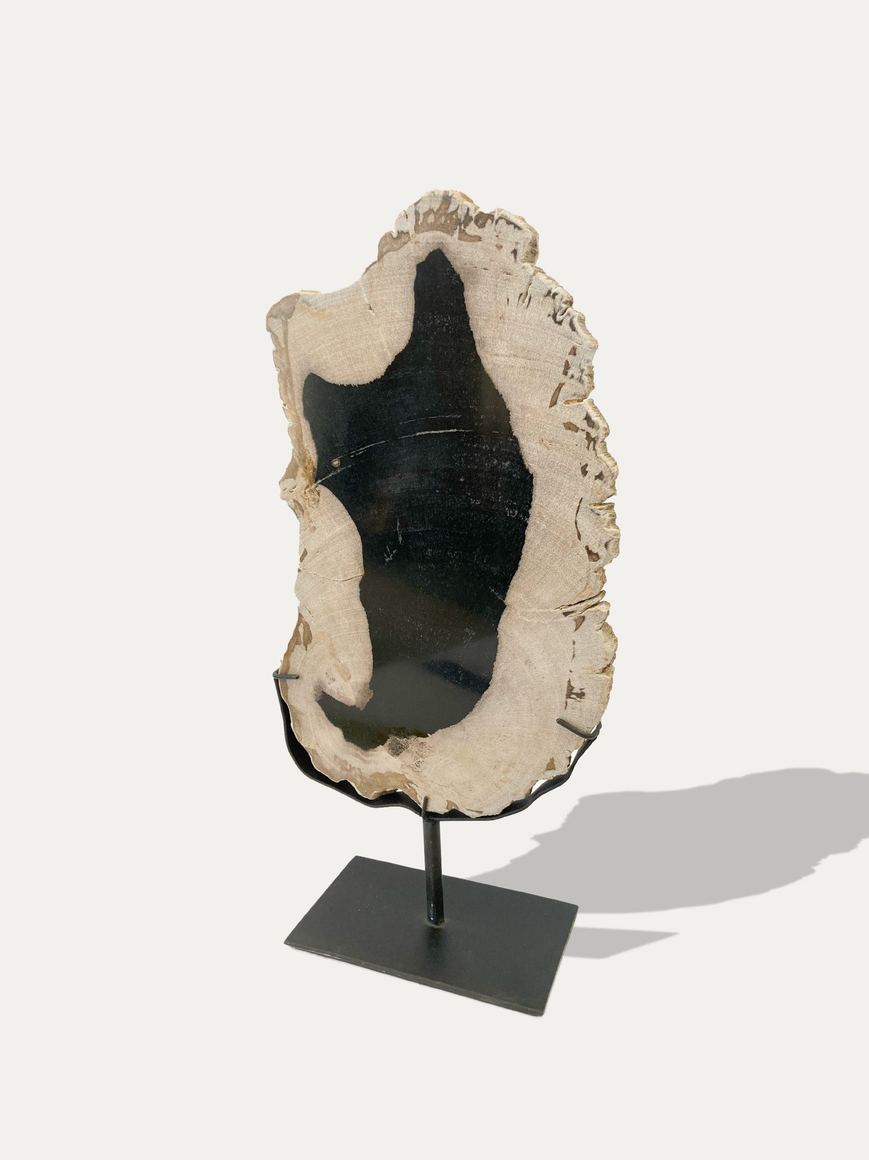 Petrified Wood Sculpture and Tray