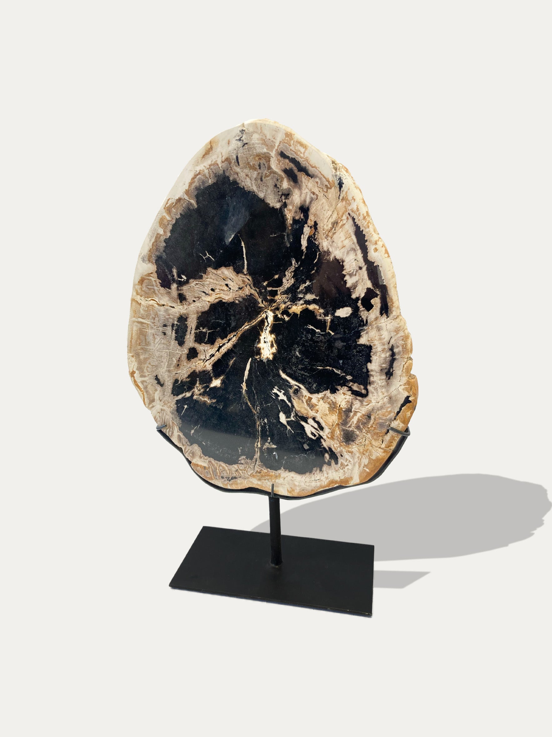 Petrified Wood Sculpture and Tray