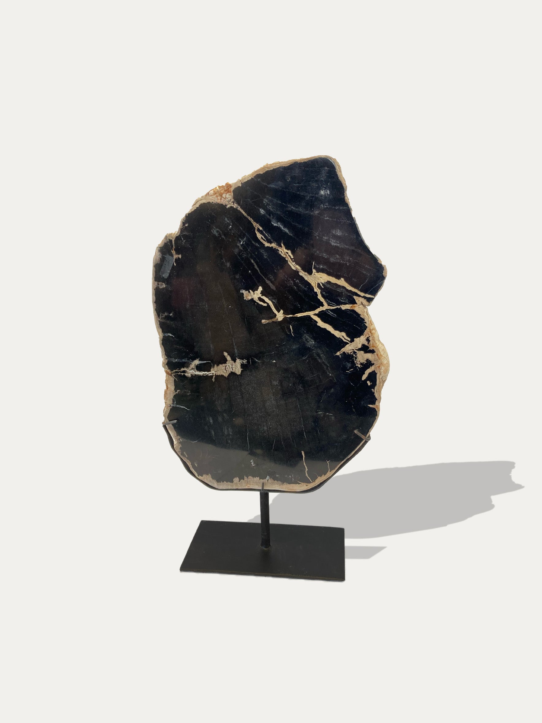 Petrified Wood Sculpture and Tray