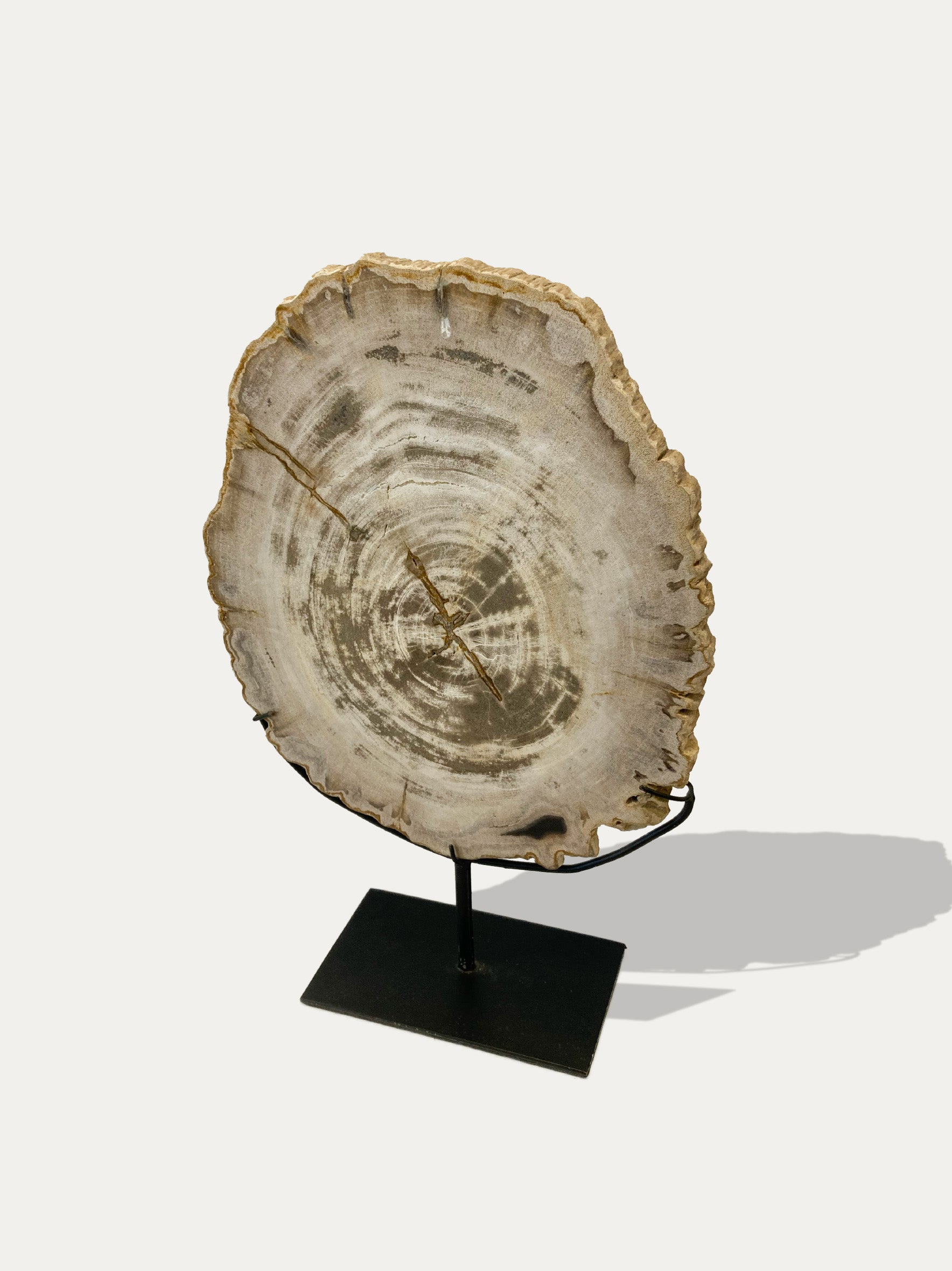 Petrified Wood Sculpture and Tray