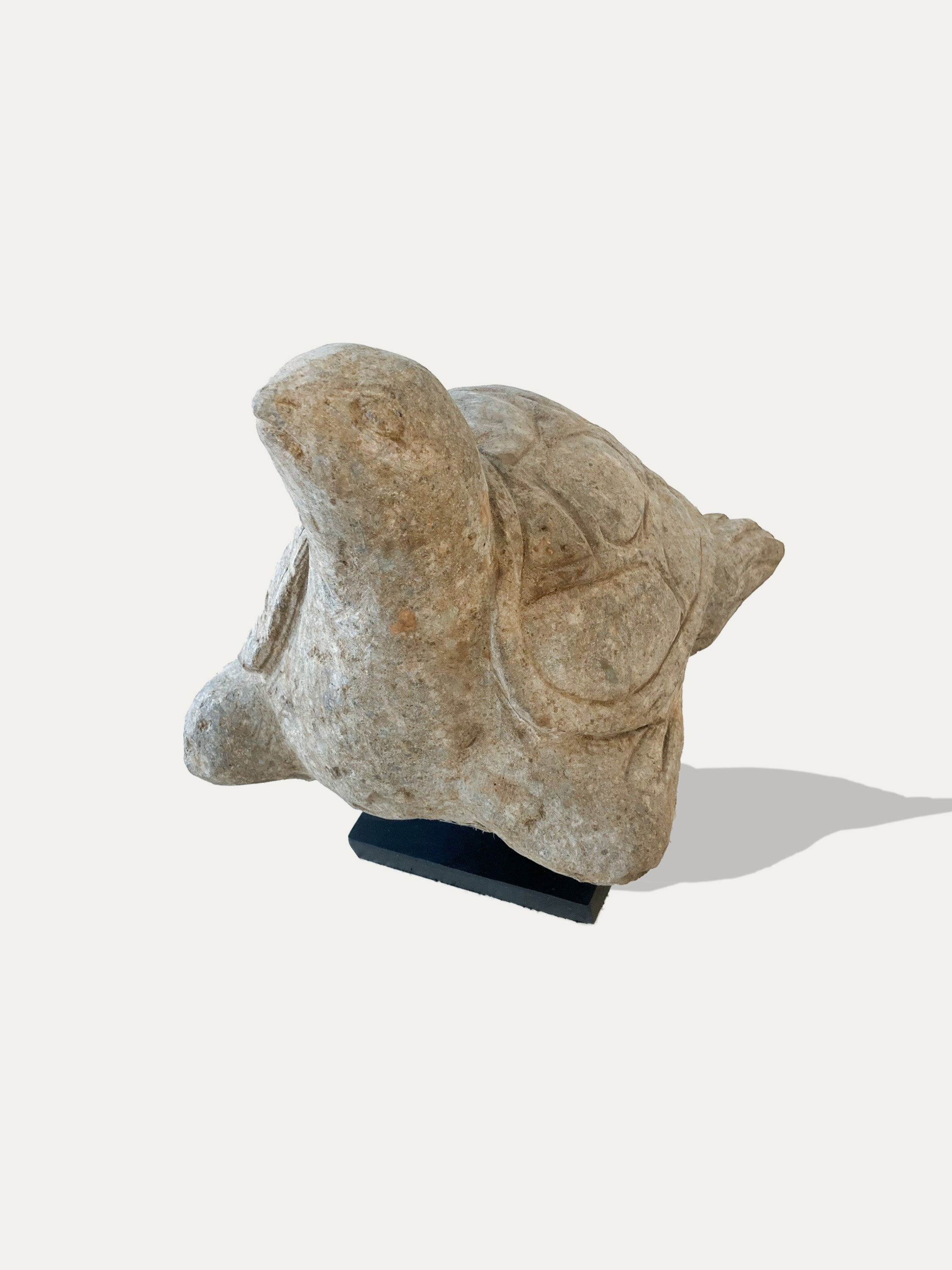 Hand Carved Turtle Statue From Java