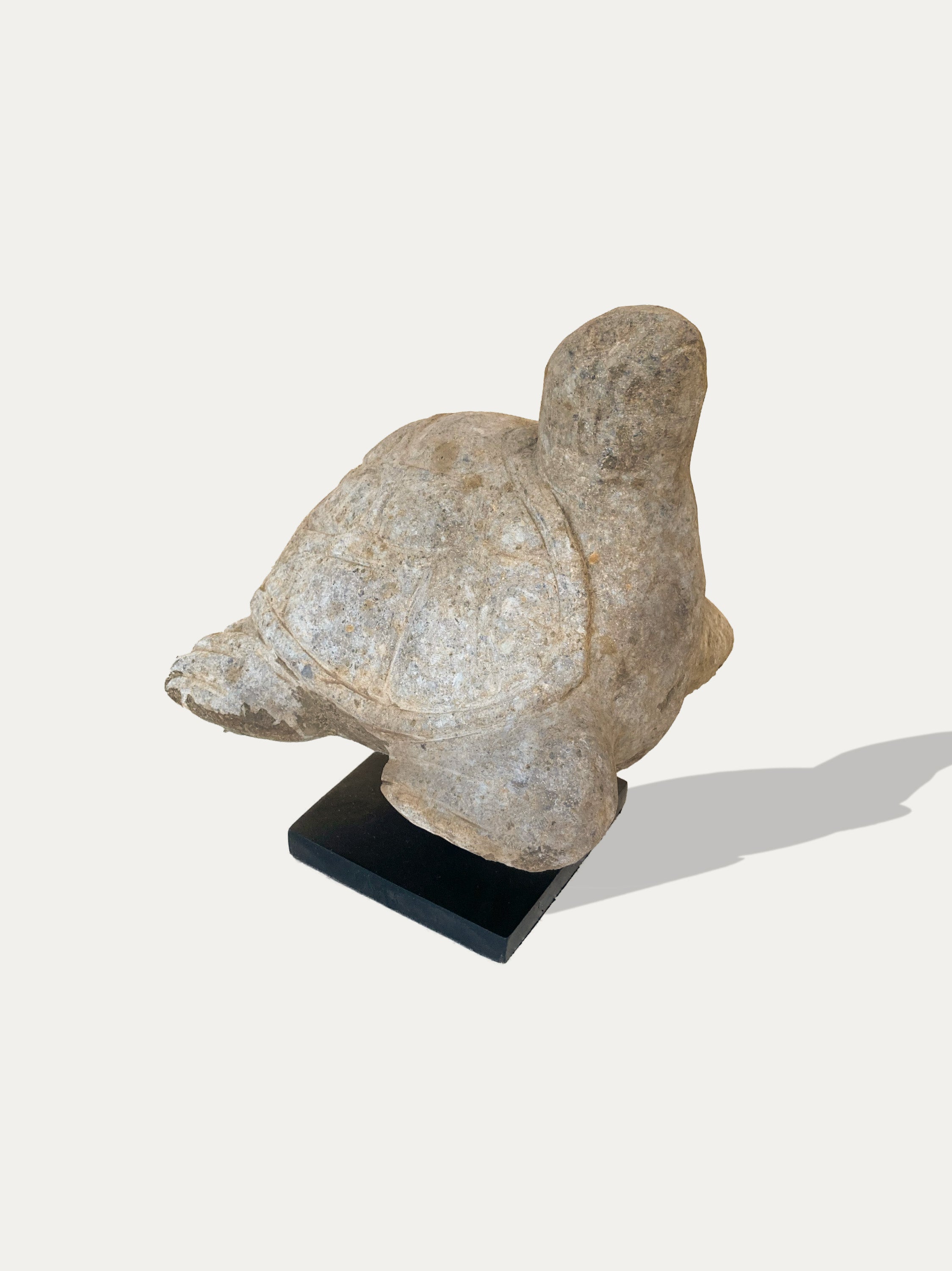 Hand Carved Turtle Statue From Java