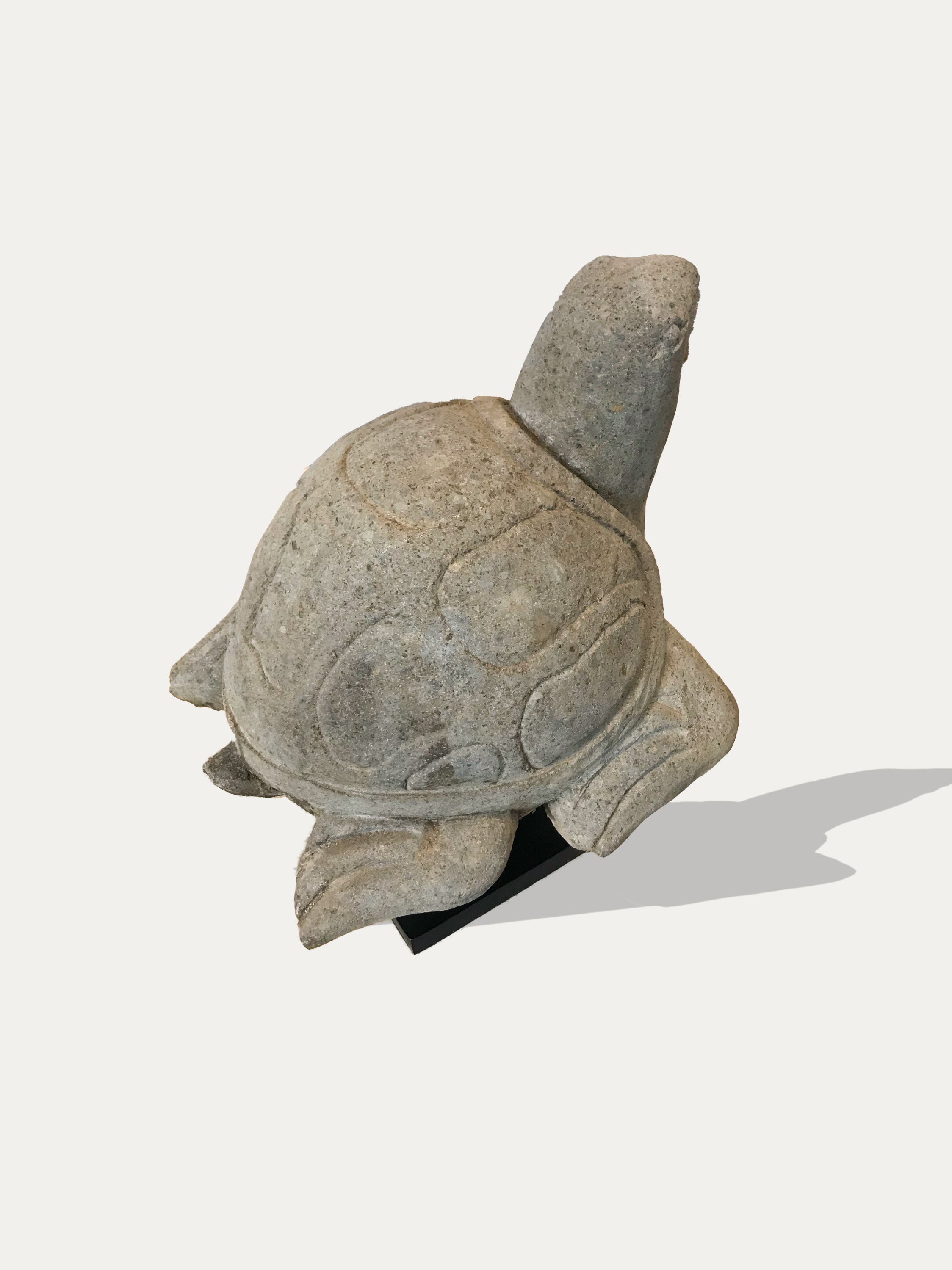 Große handgeschnitzte Schildkrötenstatue aus Java