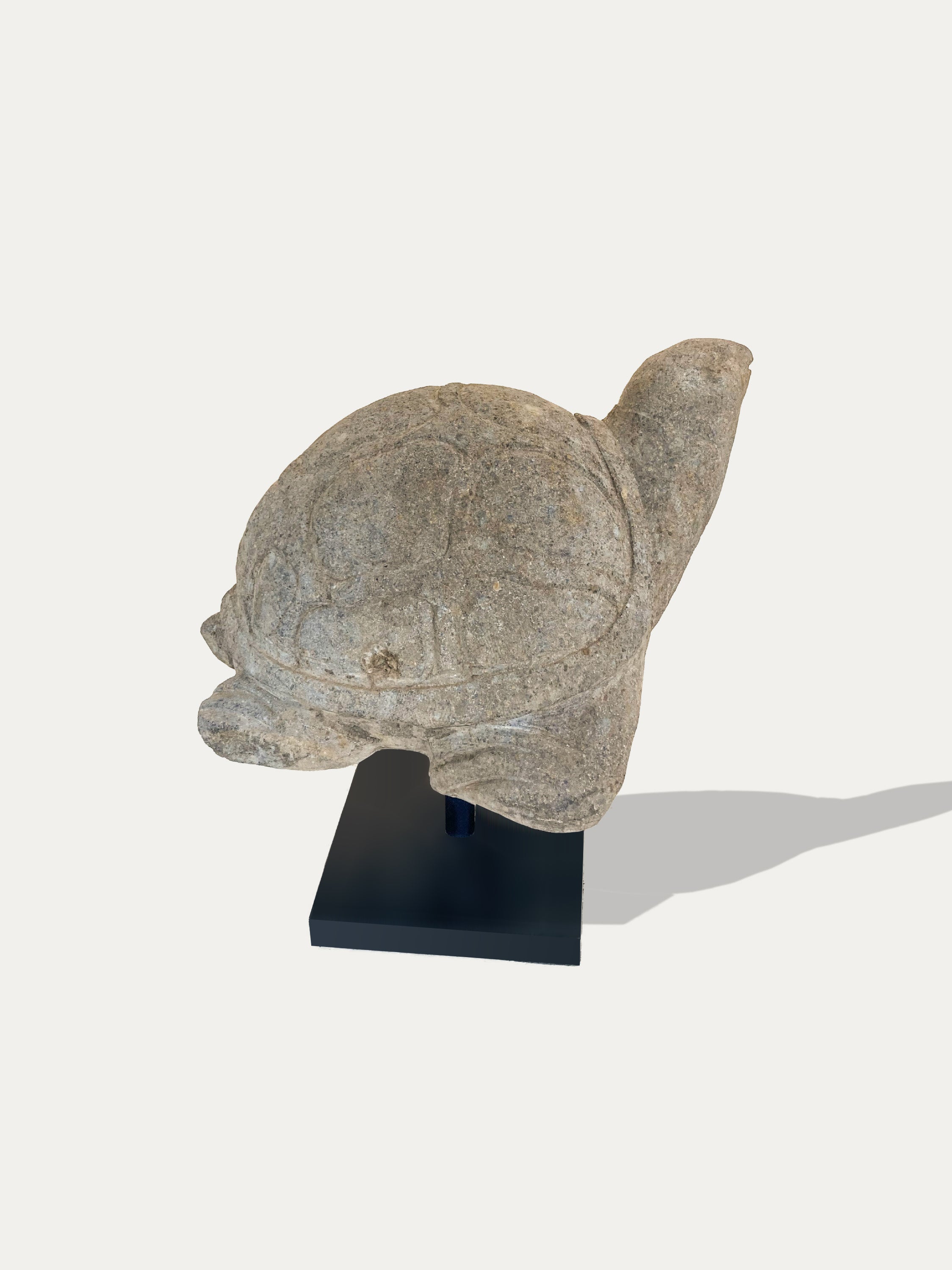 Statua di tartaruga intagliata a mano da Java