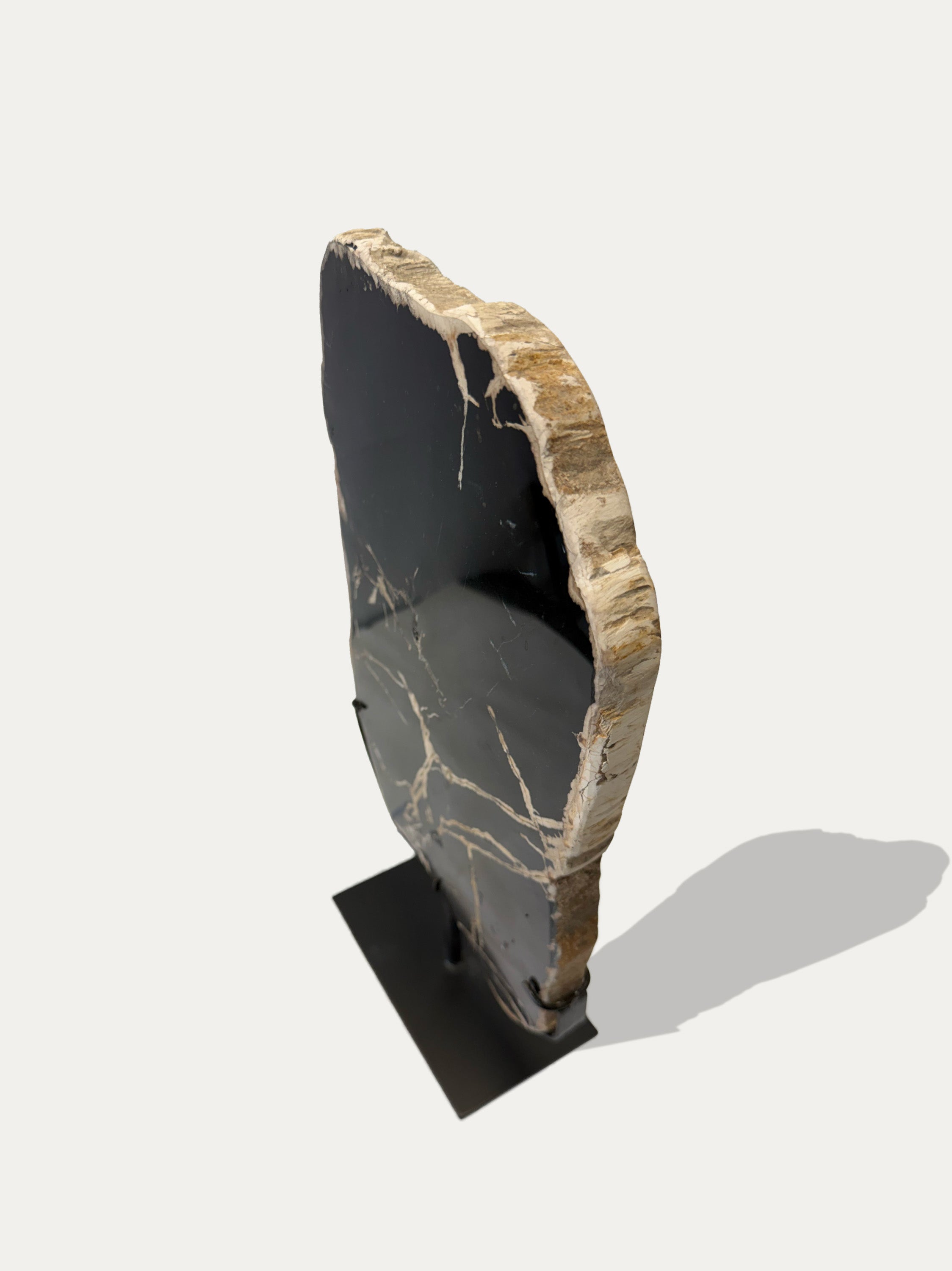 Petrified Wood Trays | Stone Decor from Lake Como | Kirschon