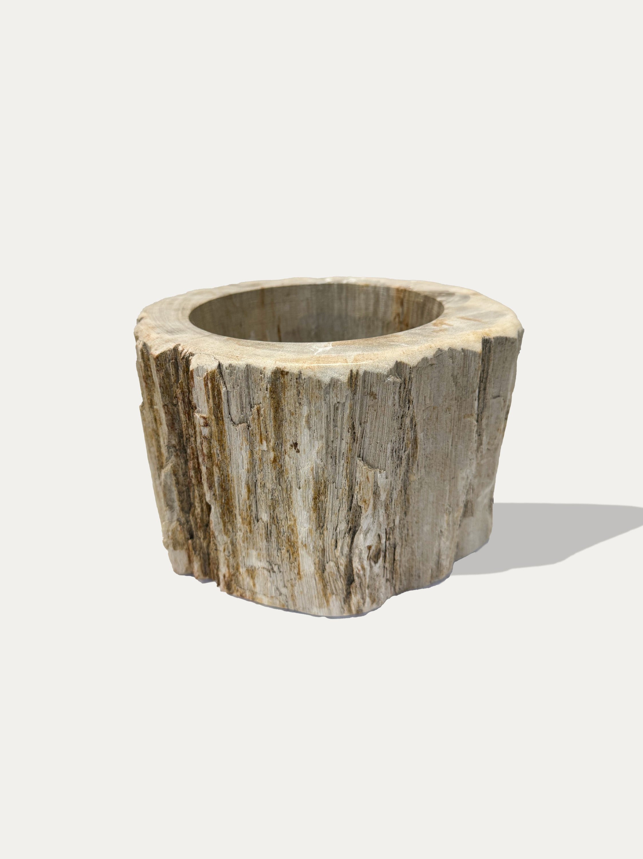 unique-petrified-wood-vase-handpicked-java-italy