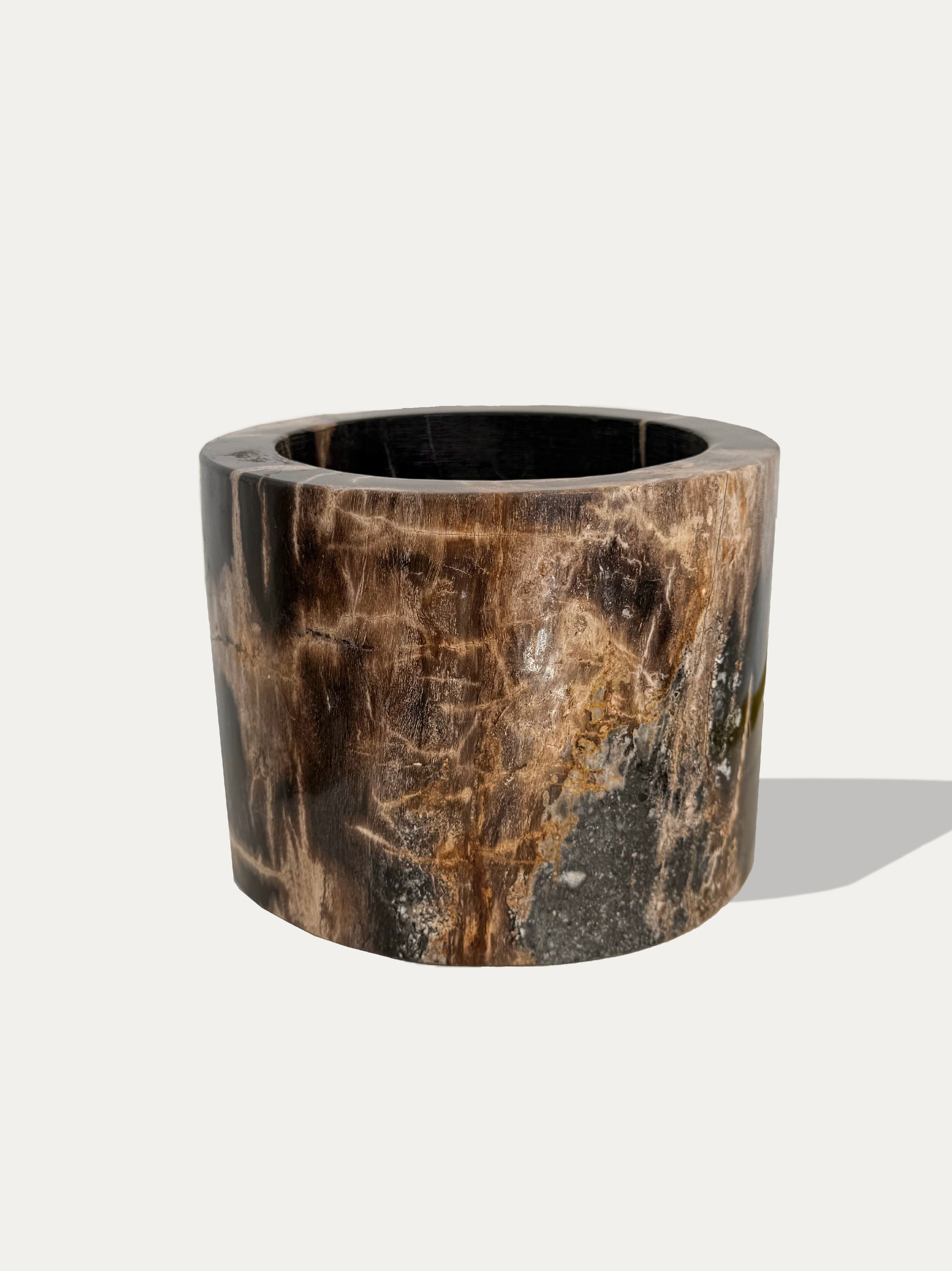 unique-petrified-wood-vase-living-room-decor-eu.