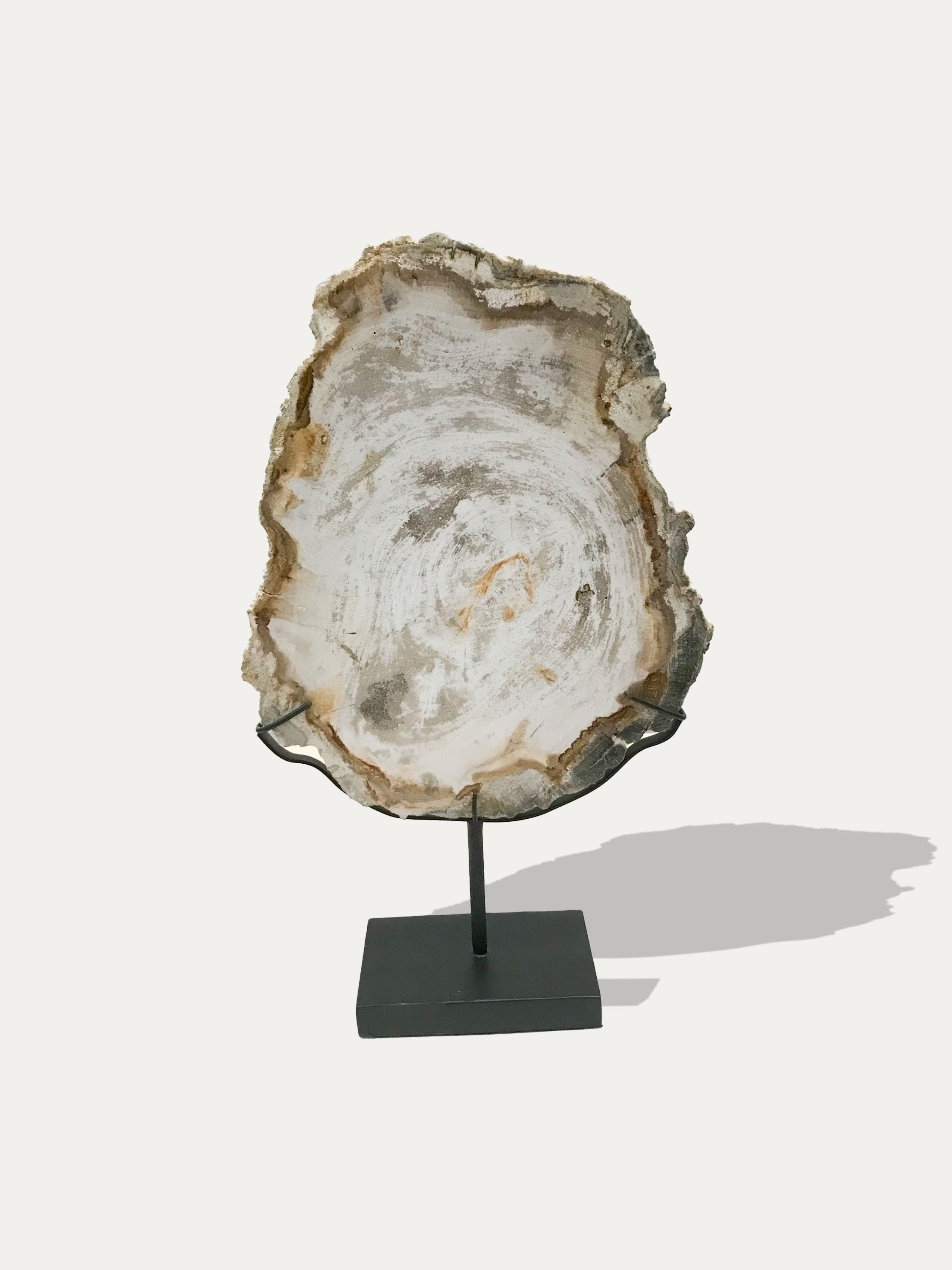 Petrified Wood Sculpture and Tray