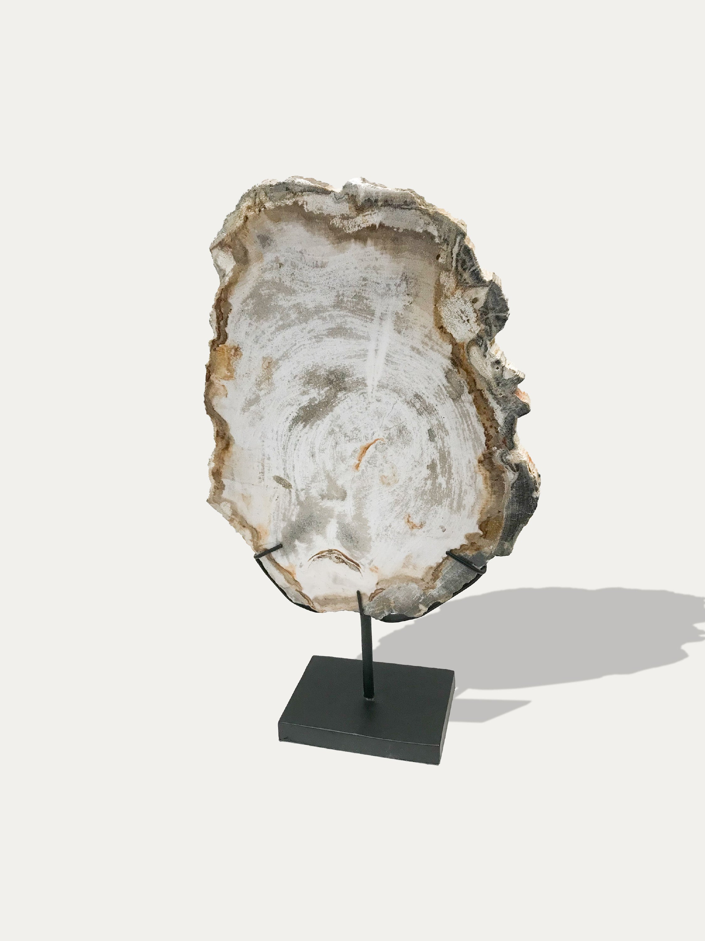 Petrified Wood Sculpture and Tray