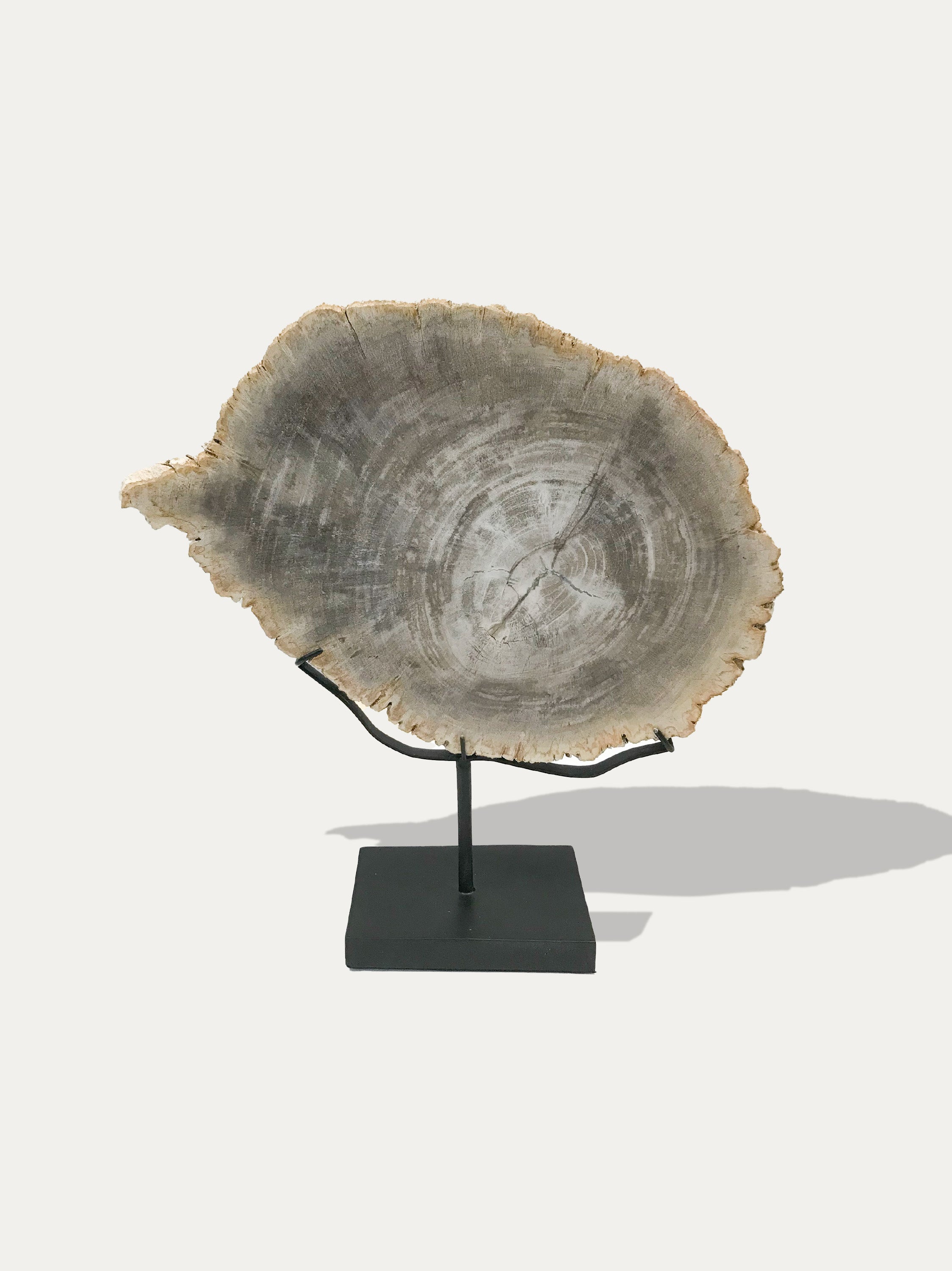 Petrified Wood Sculpture and Tray - Asian art from Kirschon