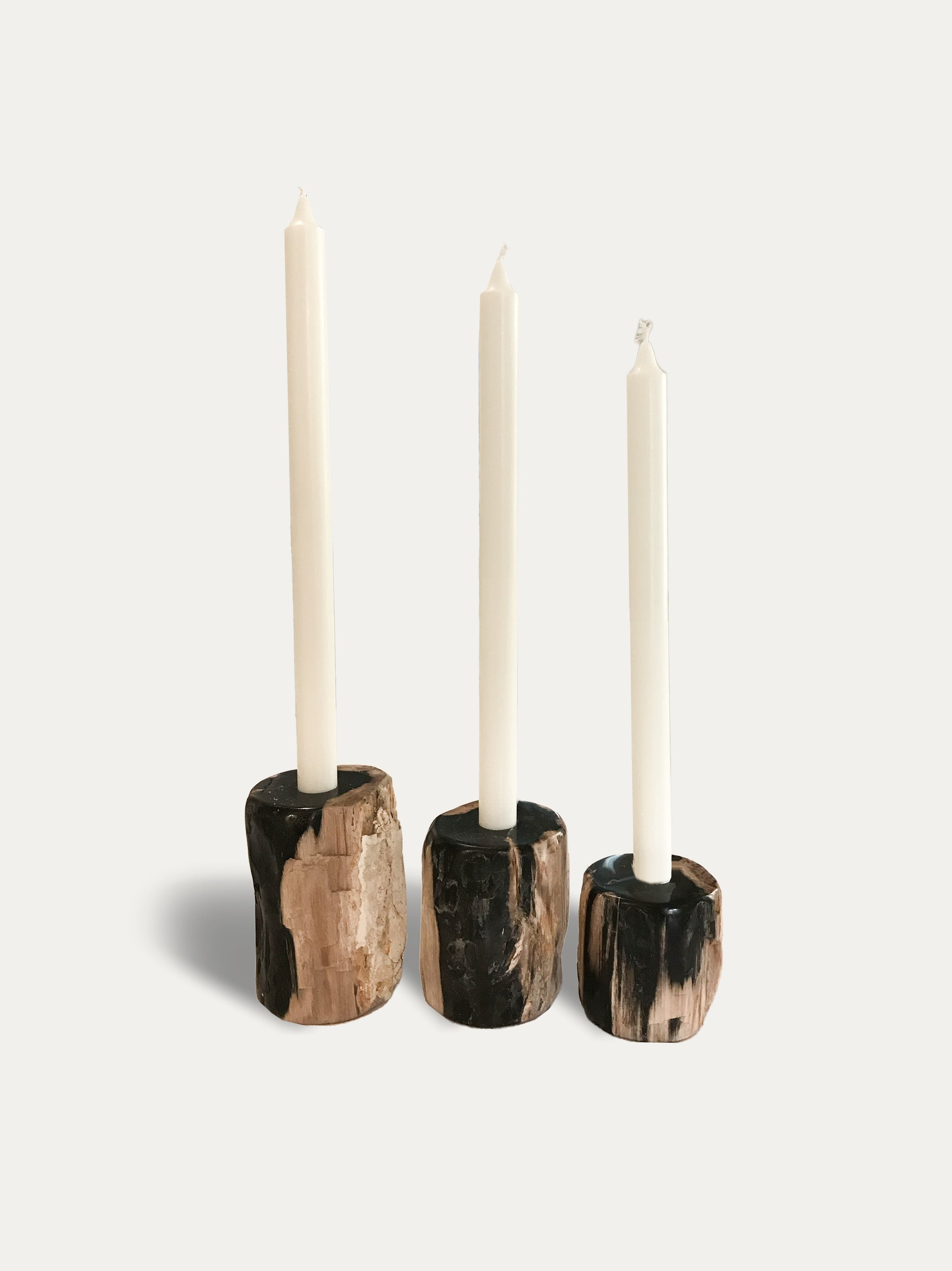 Set of 3 organic reversible candle holders in petrified wood