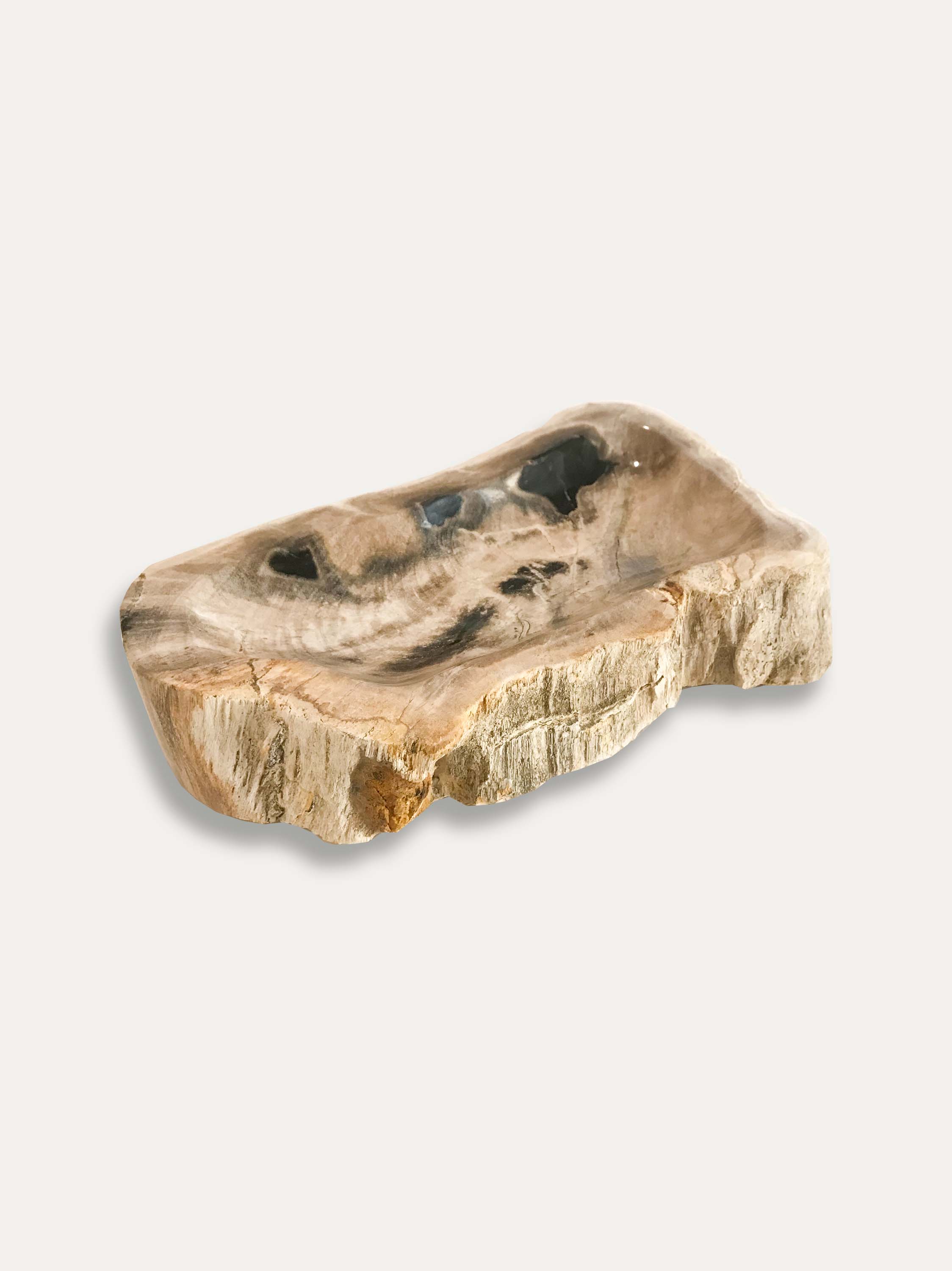 Petrified Wood Bowl - kirschon
