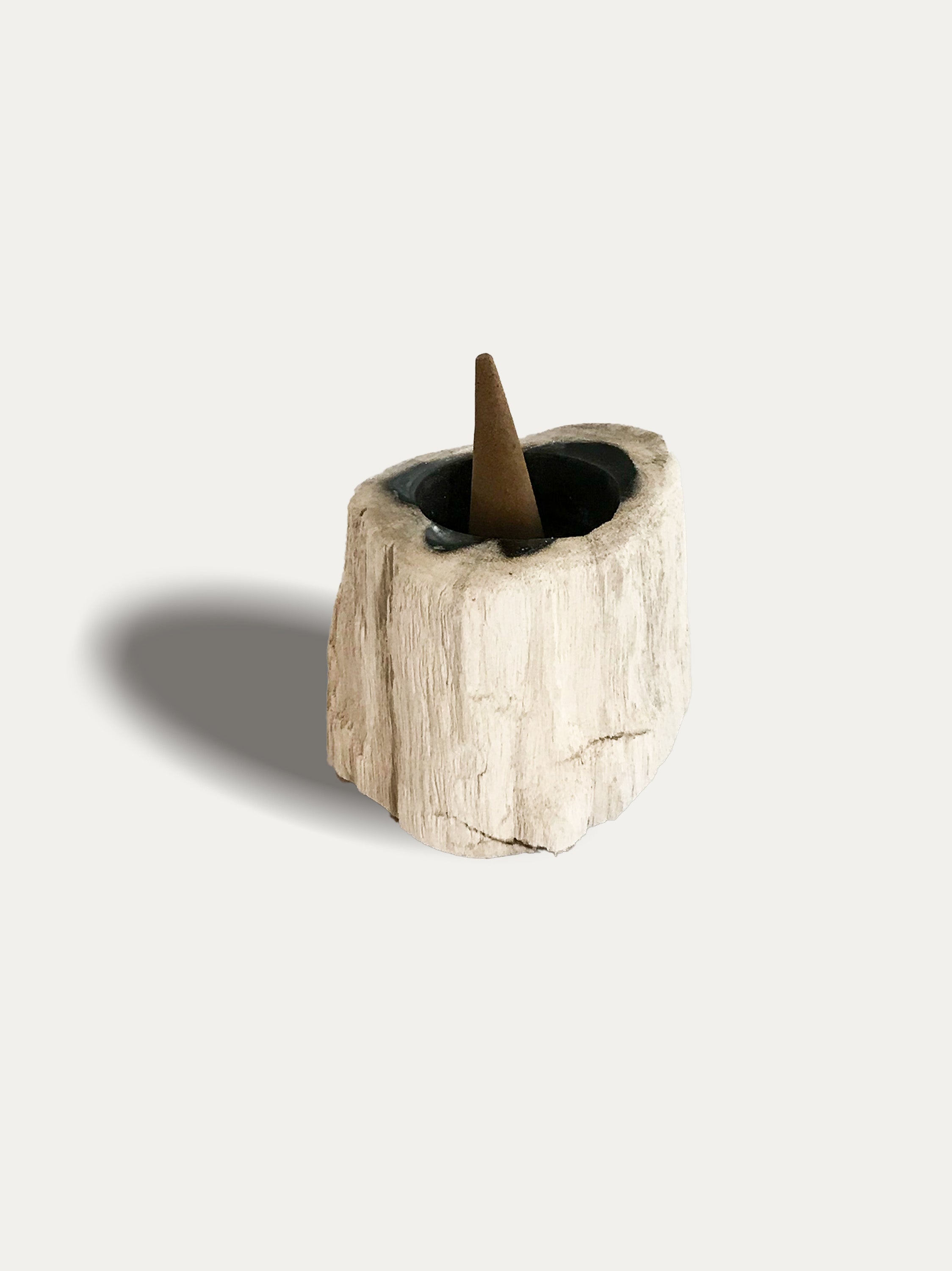 Petrified wood candle holders, porta candele in legno fossile