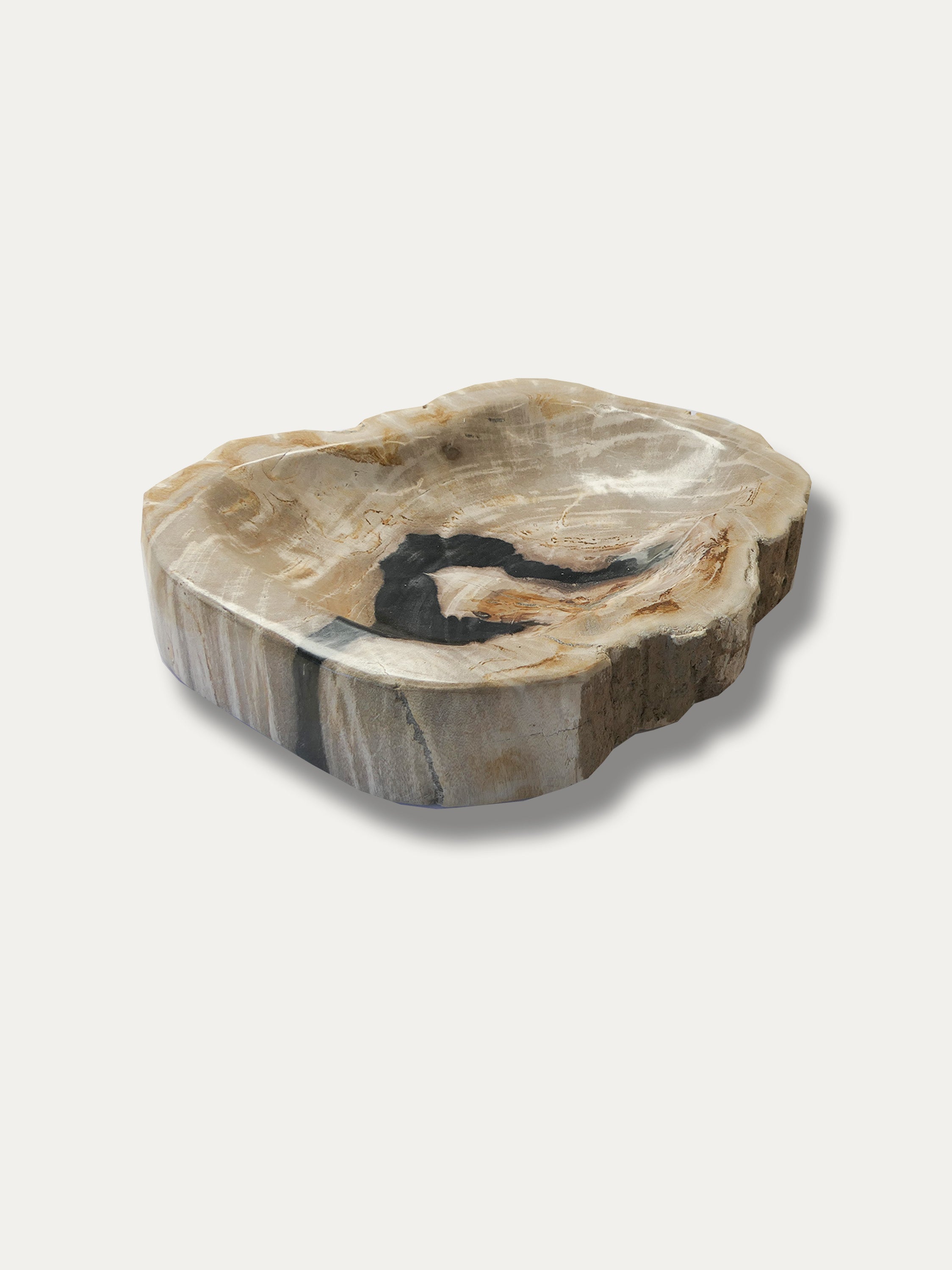 Petrified Wood Bowl  - Enjoy Italy's largest collection of Petrified wood accessories!k